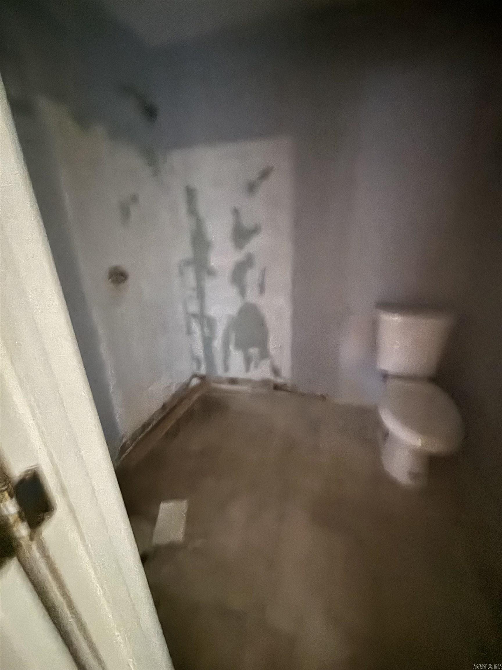 96 Dam  Mayflower, AR