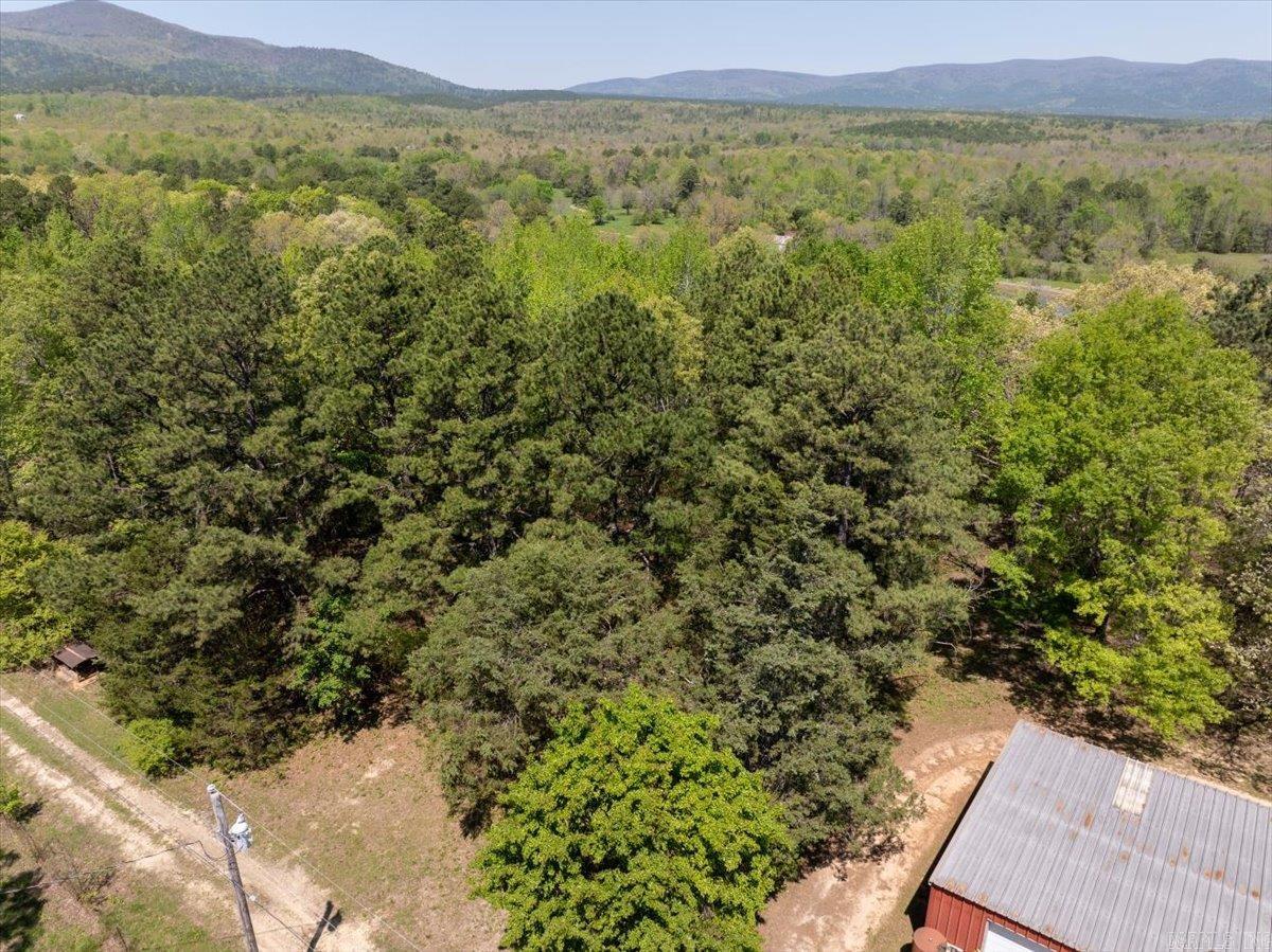 176 Polk Road 76  Mena, AR