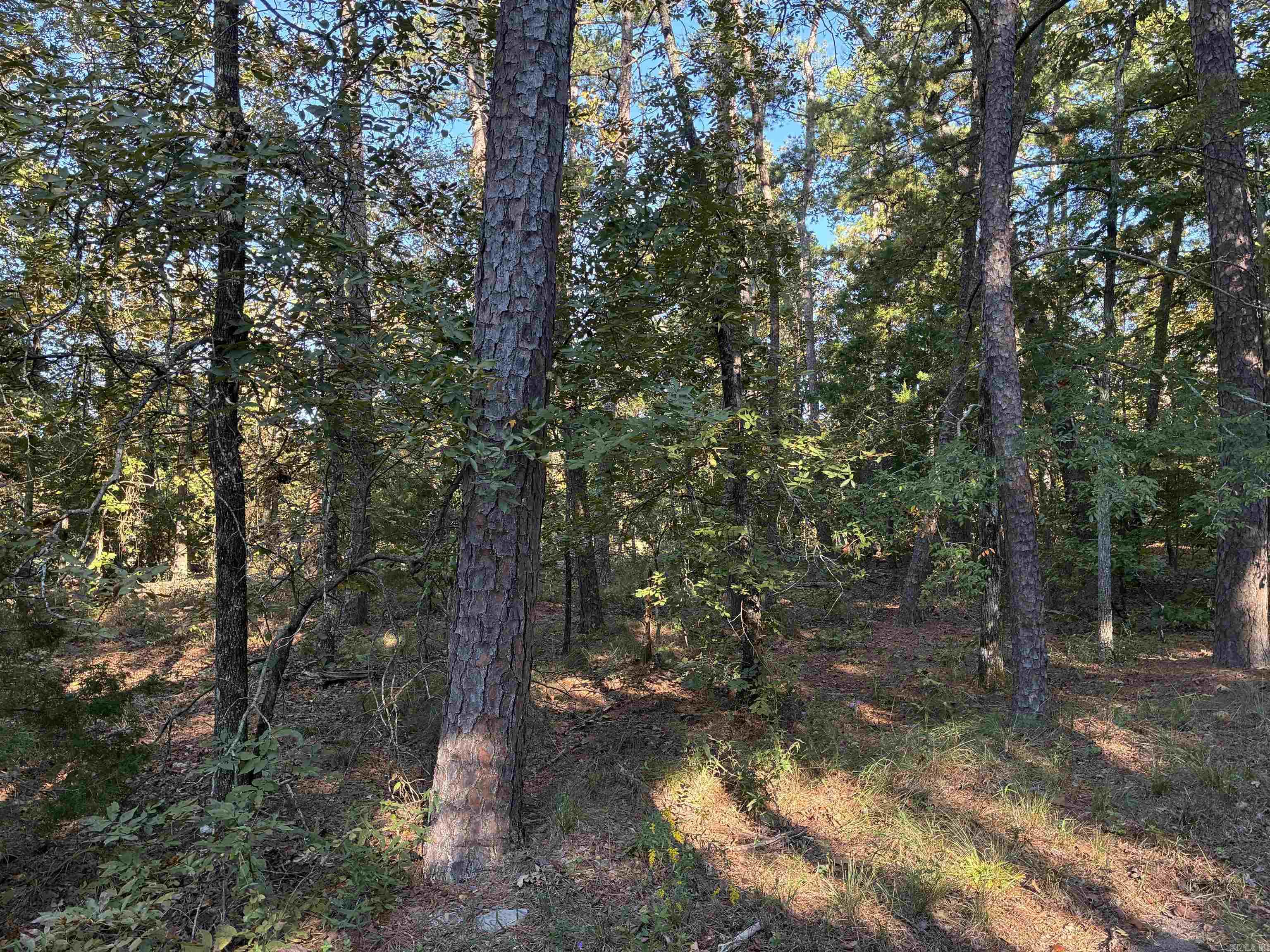 34 Cresta Way  Hot Springs Village, AR