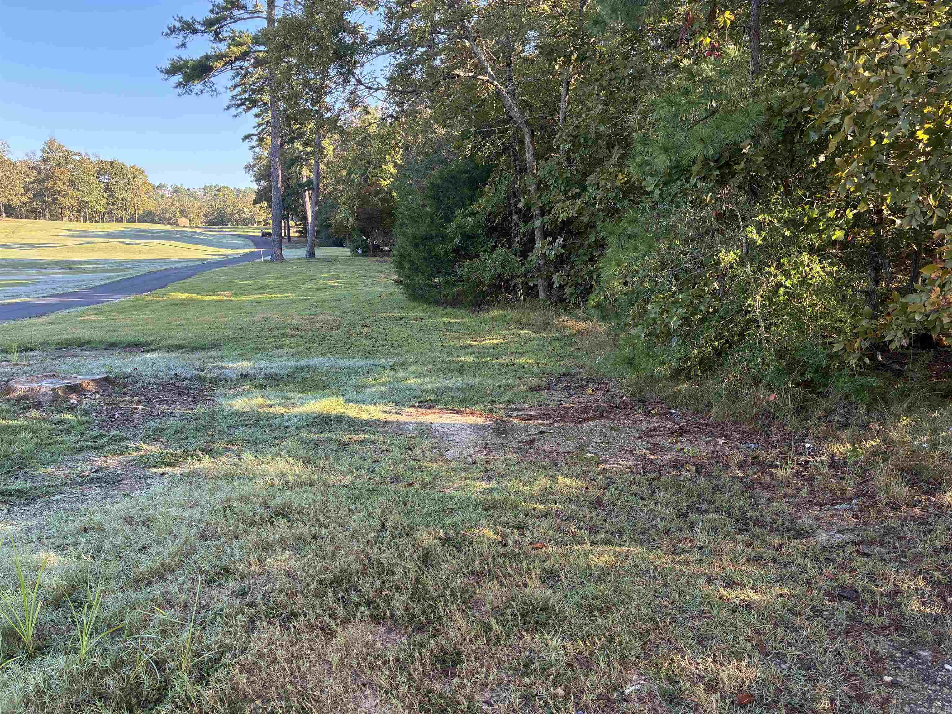 34 Cresta Way  Hot Springs Village, AR
