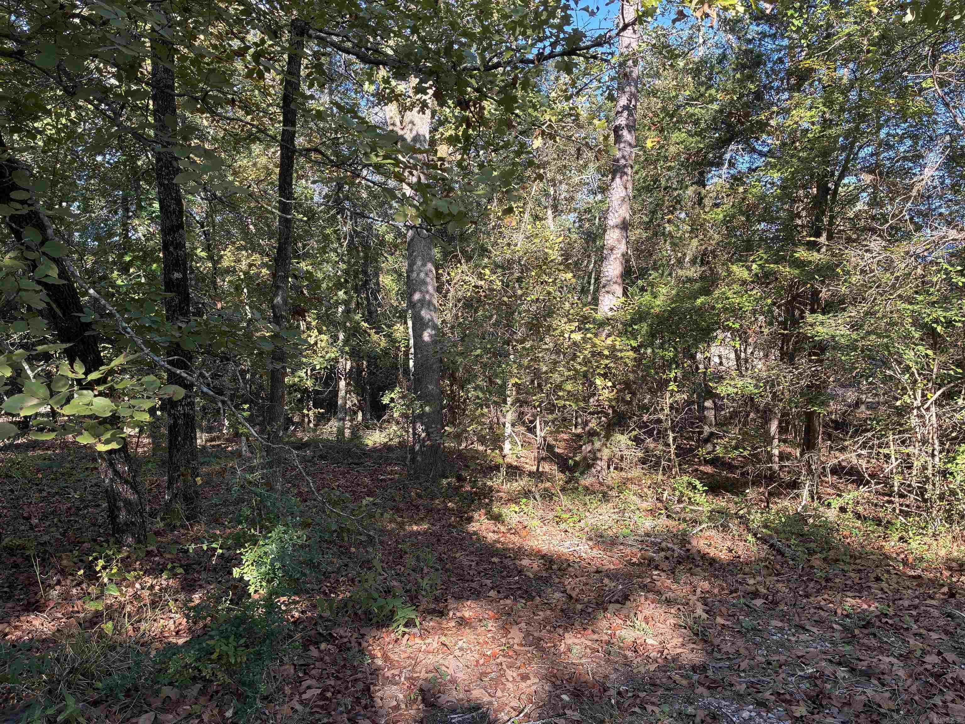 28 Cresta Way  Hot Springs Village, AR