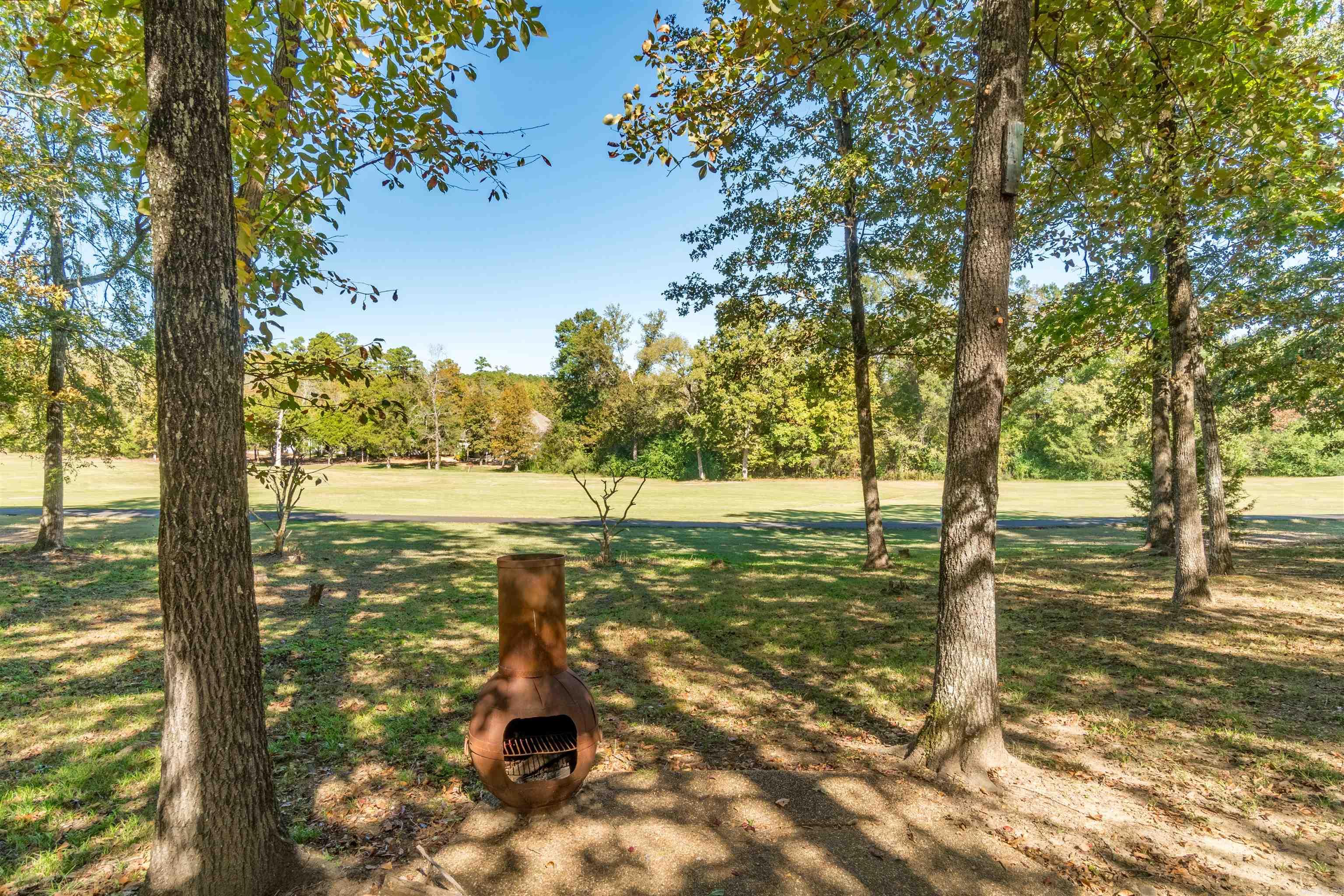 48 Pintuerero  Hot Springs Village, AR