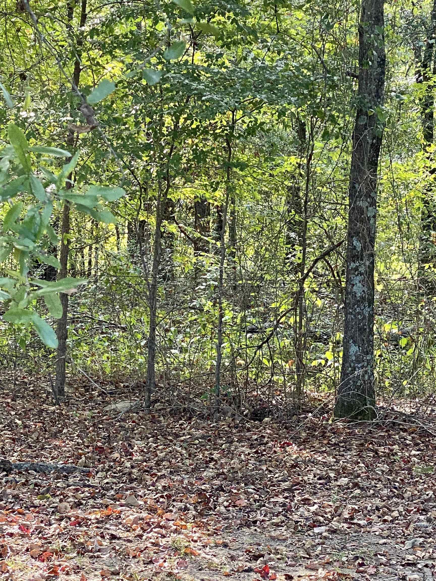 25 Darrell  Vilonia, AR