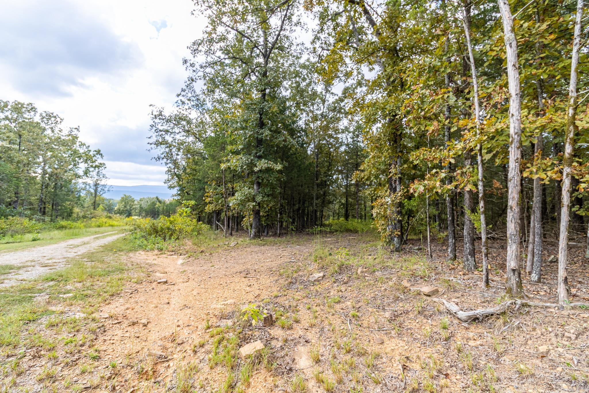 527 Thompson Bay Road  New Blaine, AR