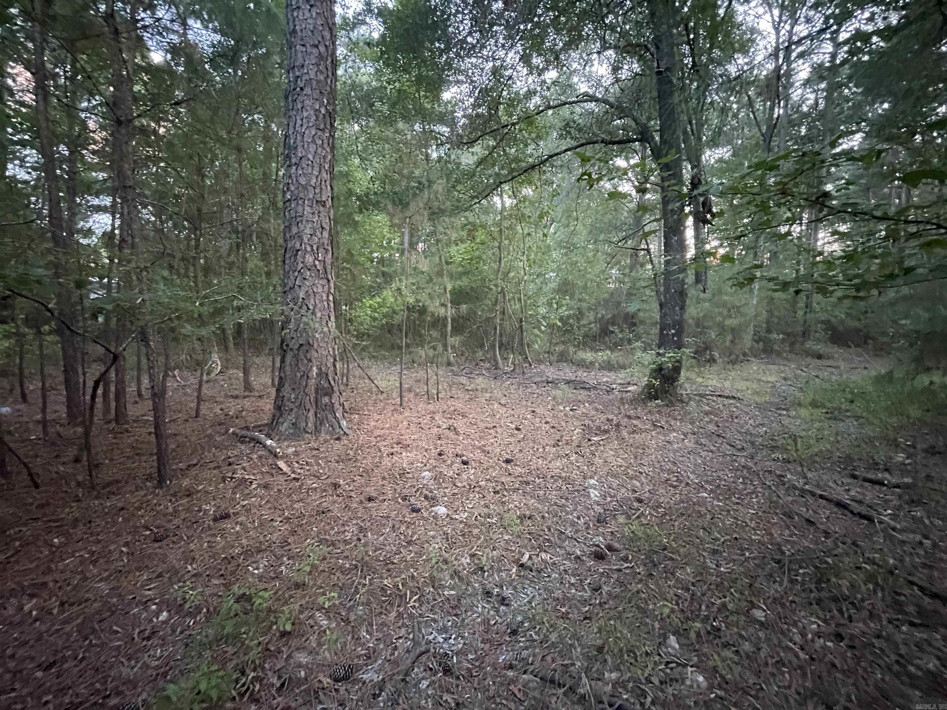 2.69 acres Ouachita 210  Camden, AR