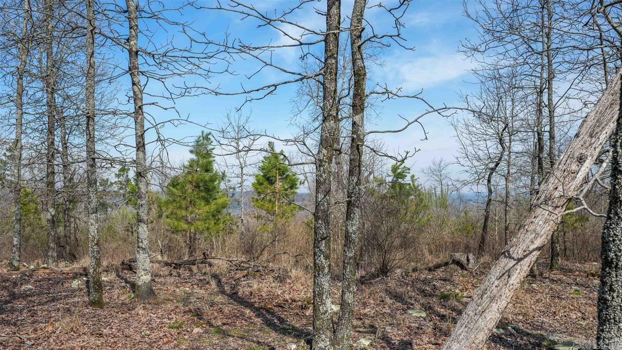 110 Kospelich  Jessieville, AR