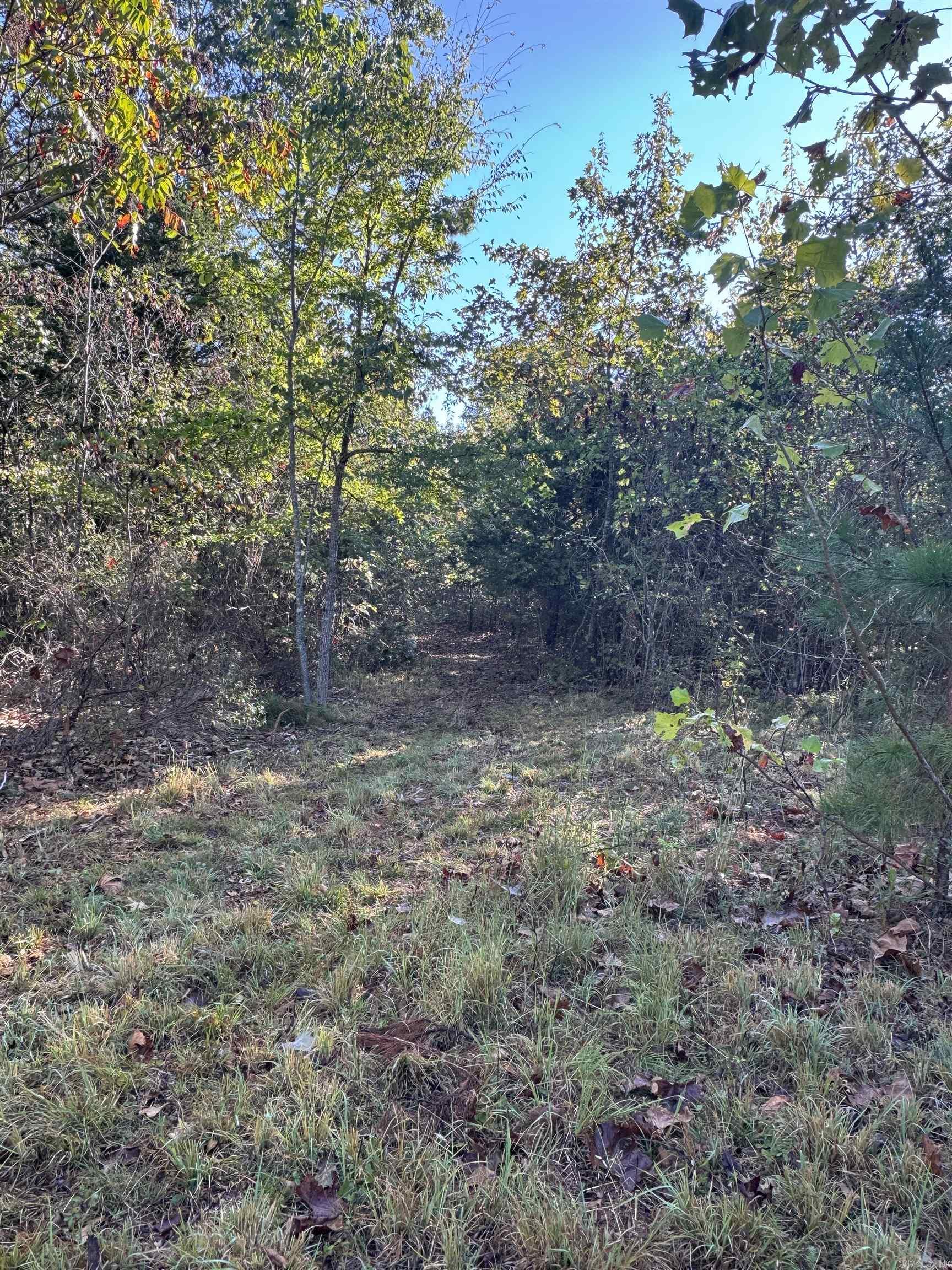 000 HWY 9  Rushing, AR