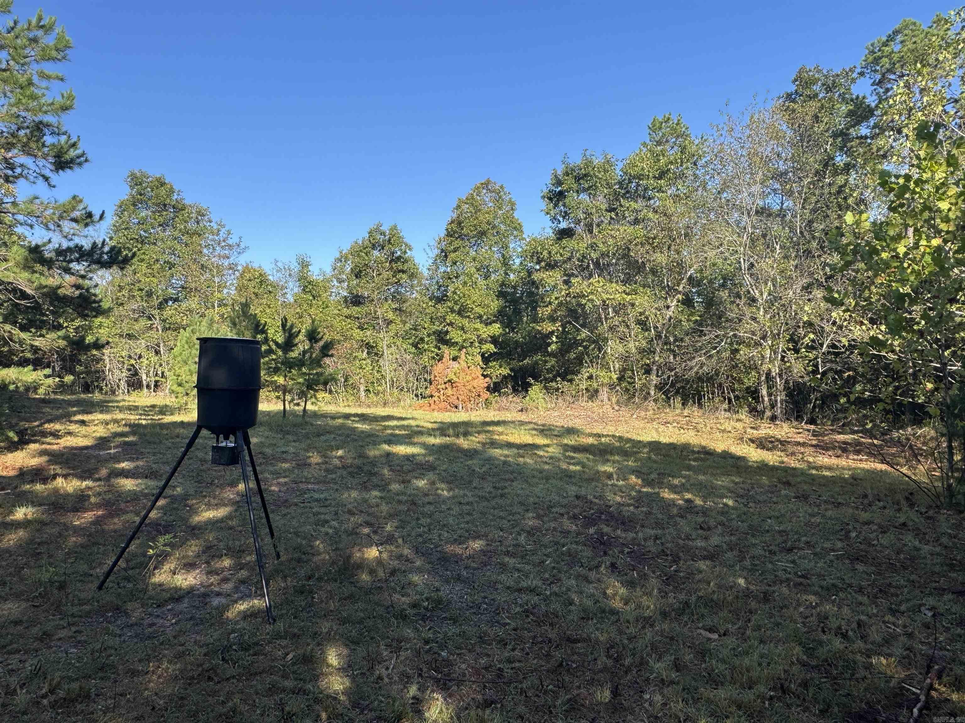 000 HWY 9  Rushing, AR