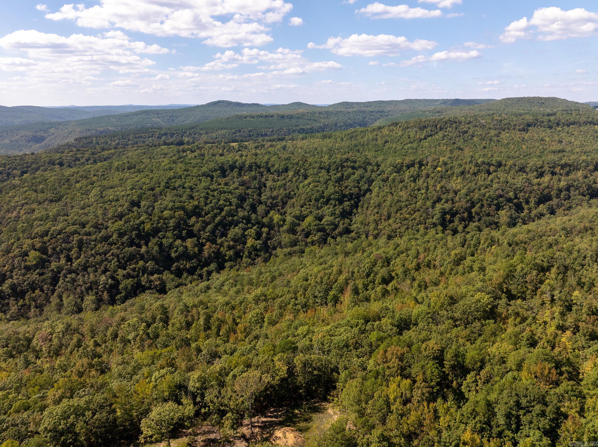 000 HWY 65  Clinton, AR