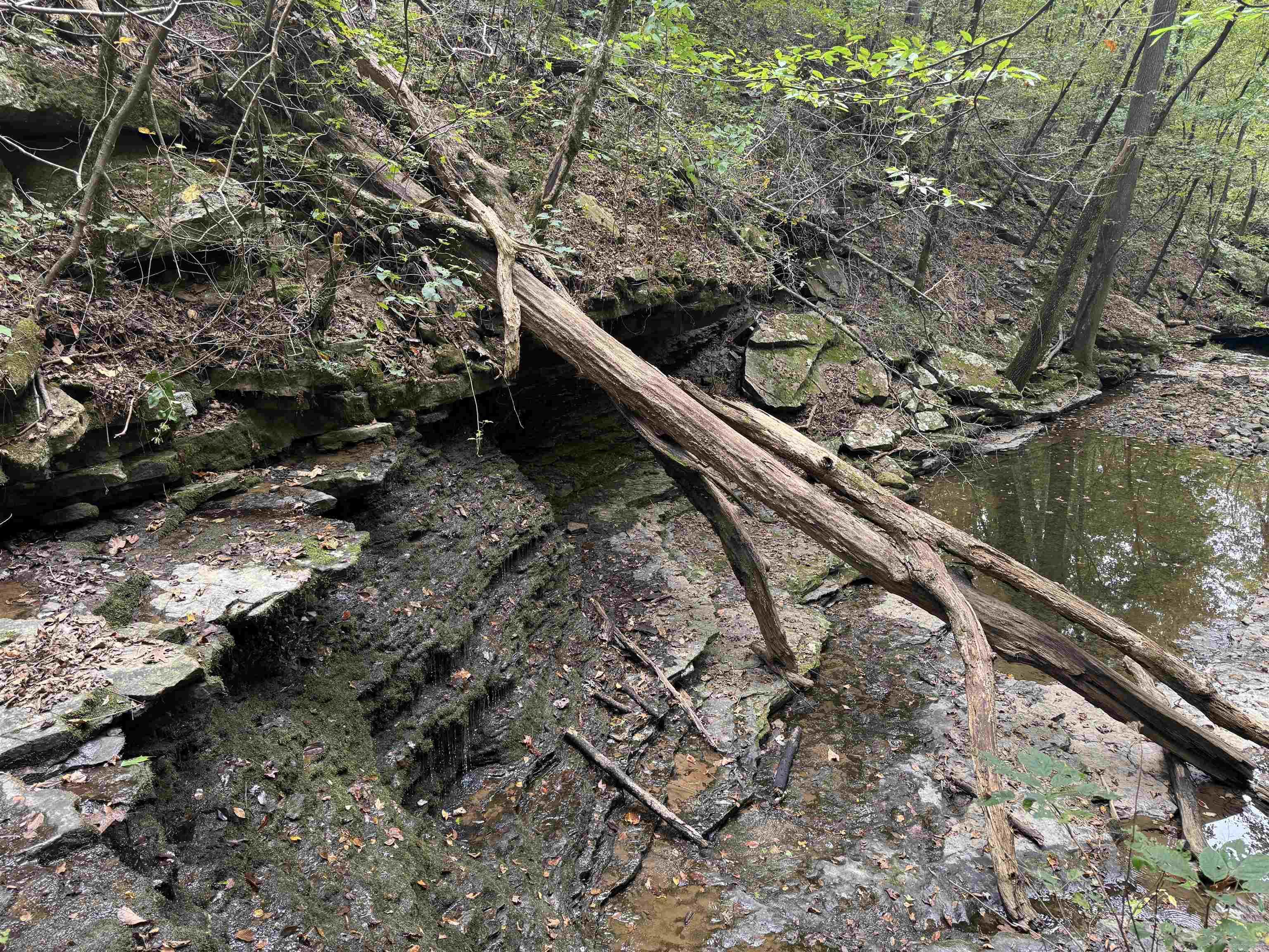 000 HWY 65  Clinton, AR