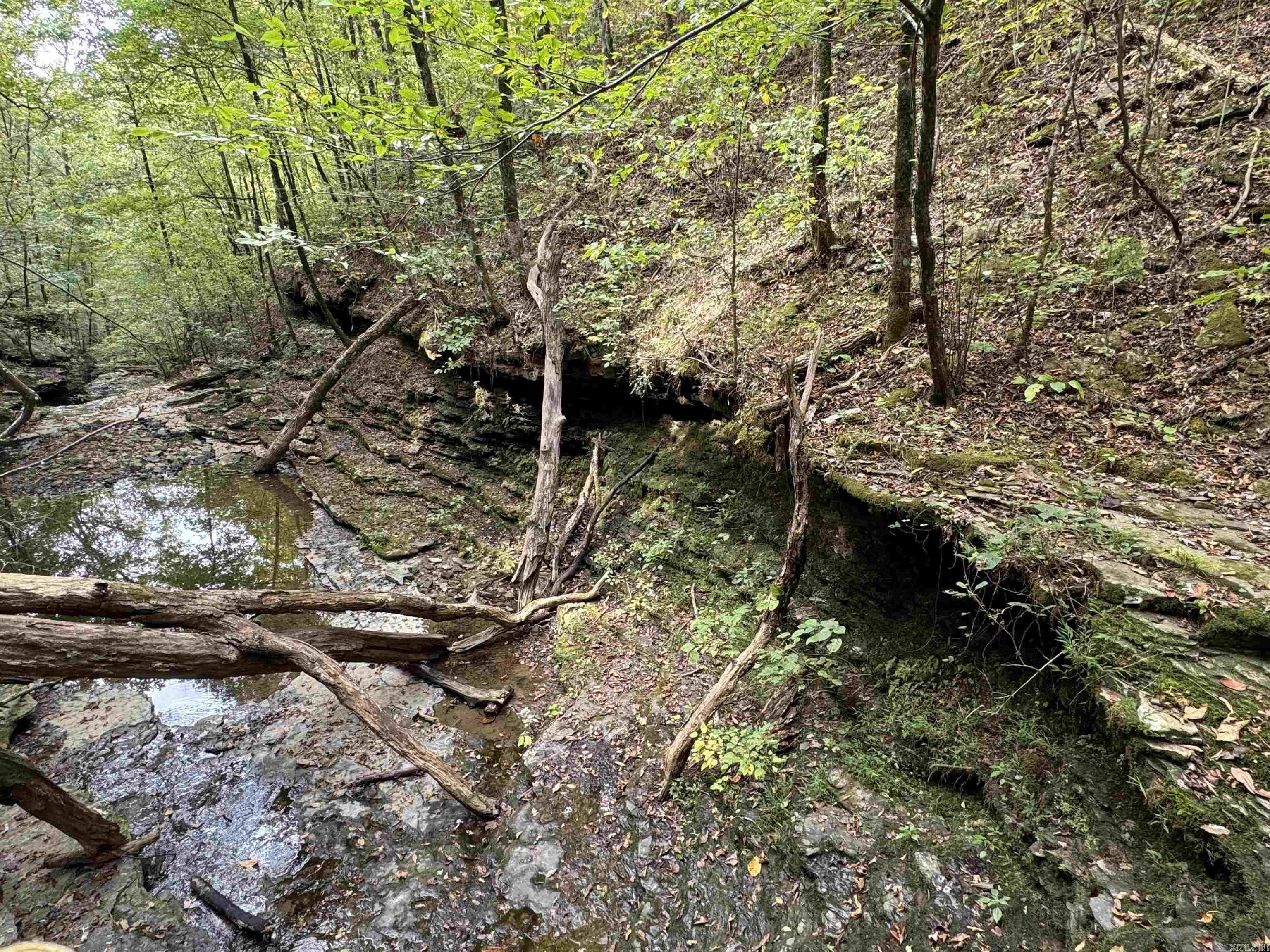 000 HWY 65  Clinton, AR