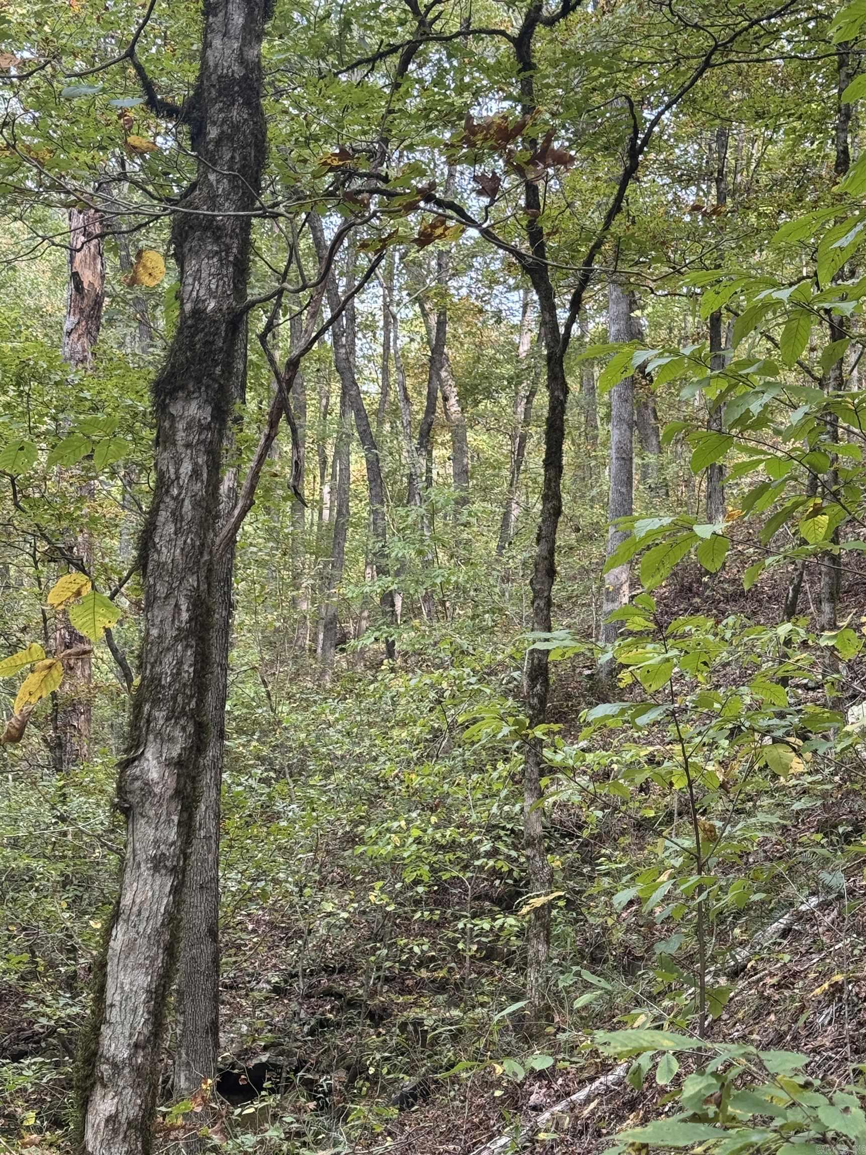 000 HWY 65  Clinton, AR