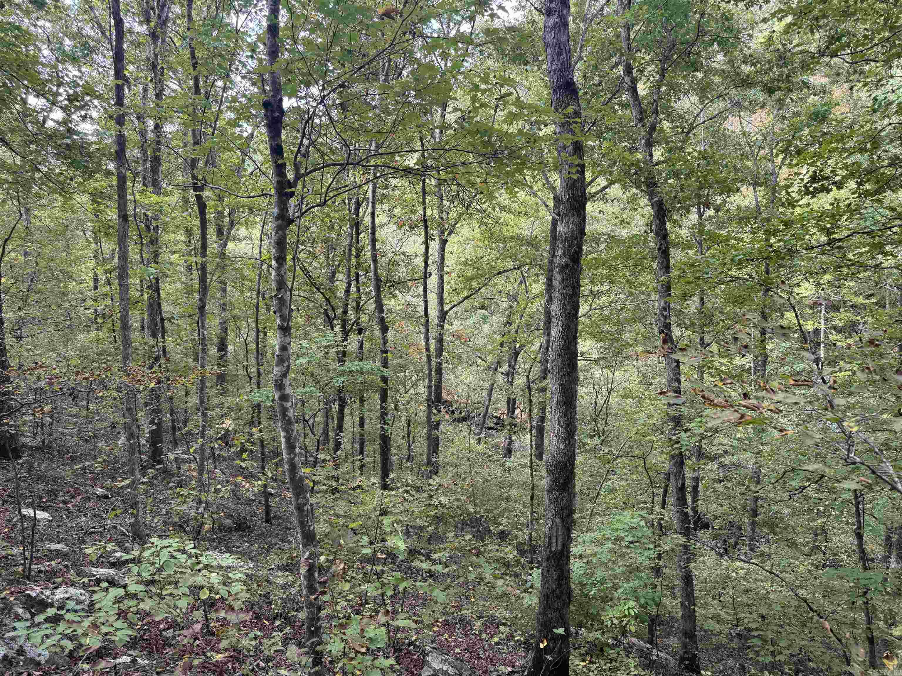 000 HWY 65  Clinton, AR