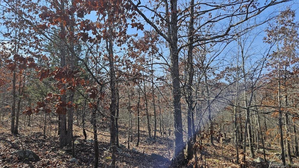 FG Rocky Road  Bradford, AR