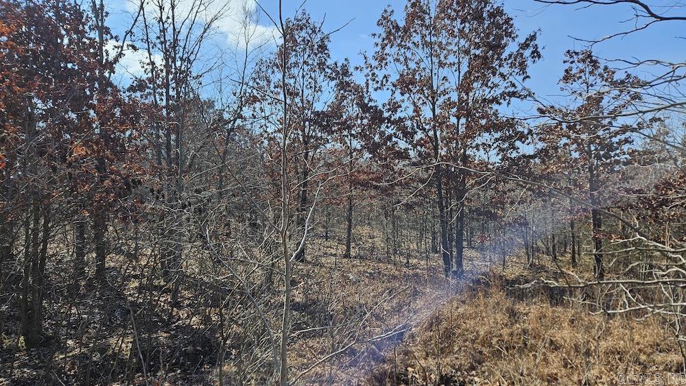 FG Rocky Road  Bradford, AR