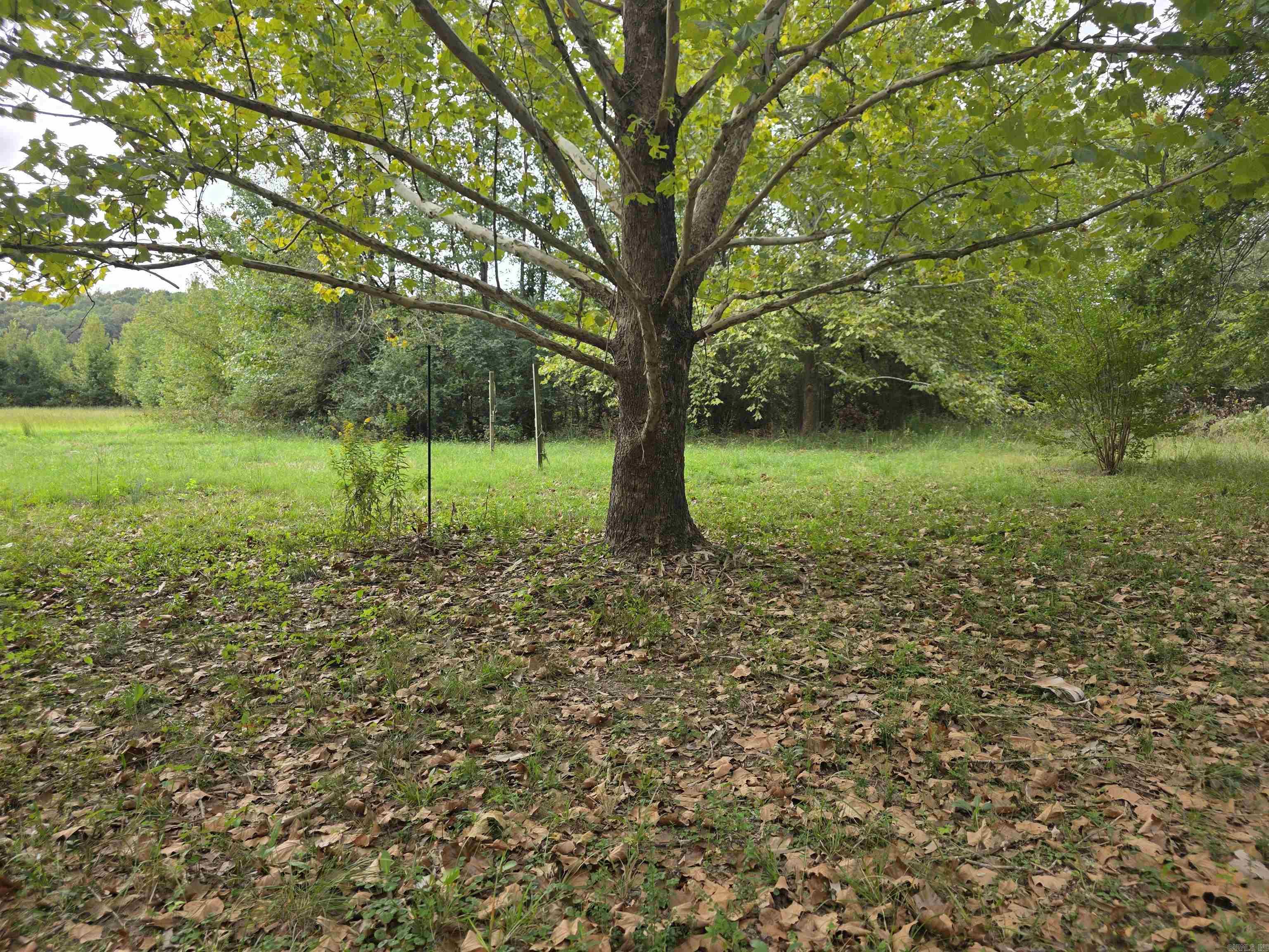 13 Independence Lane  Vilonia, AR