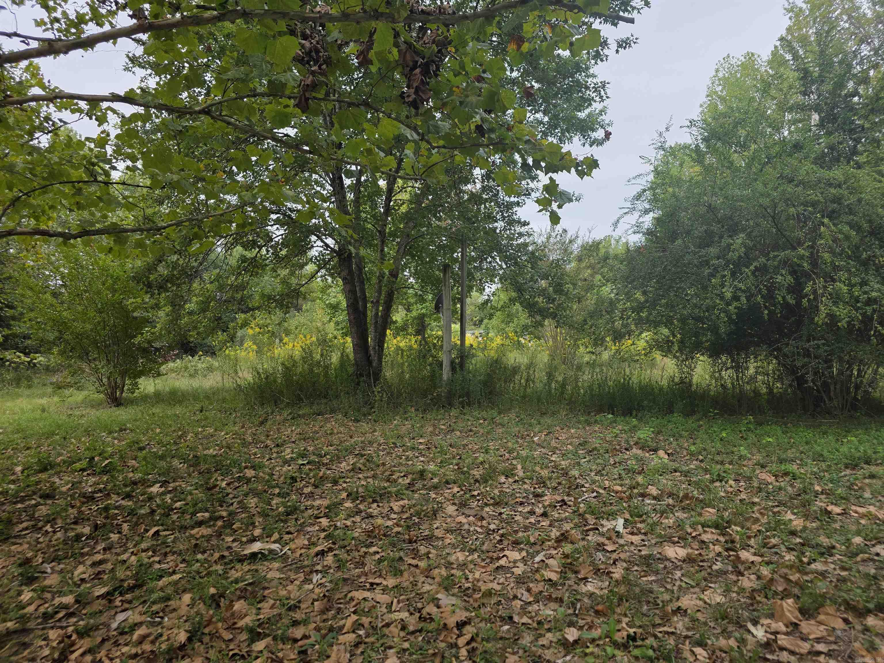 13 Independence Lane  Vilonia, AR