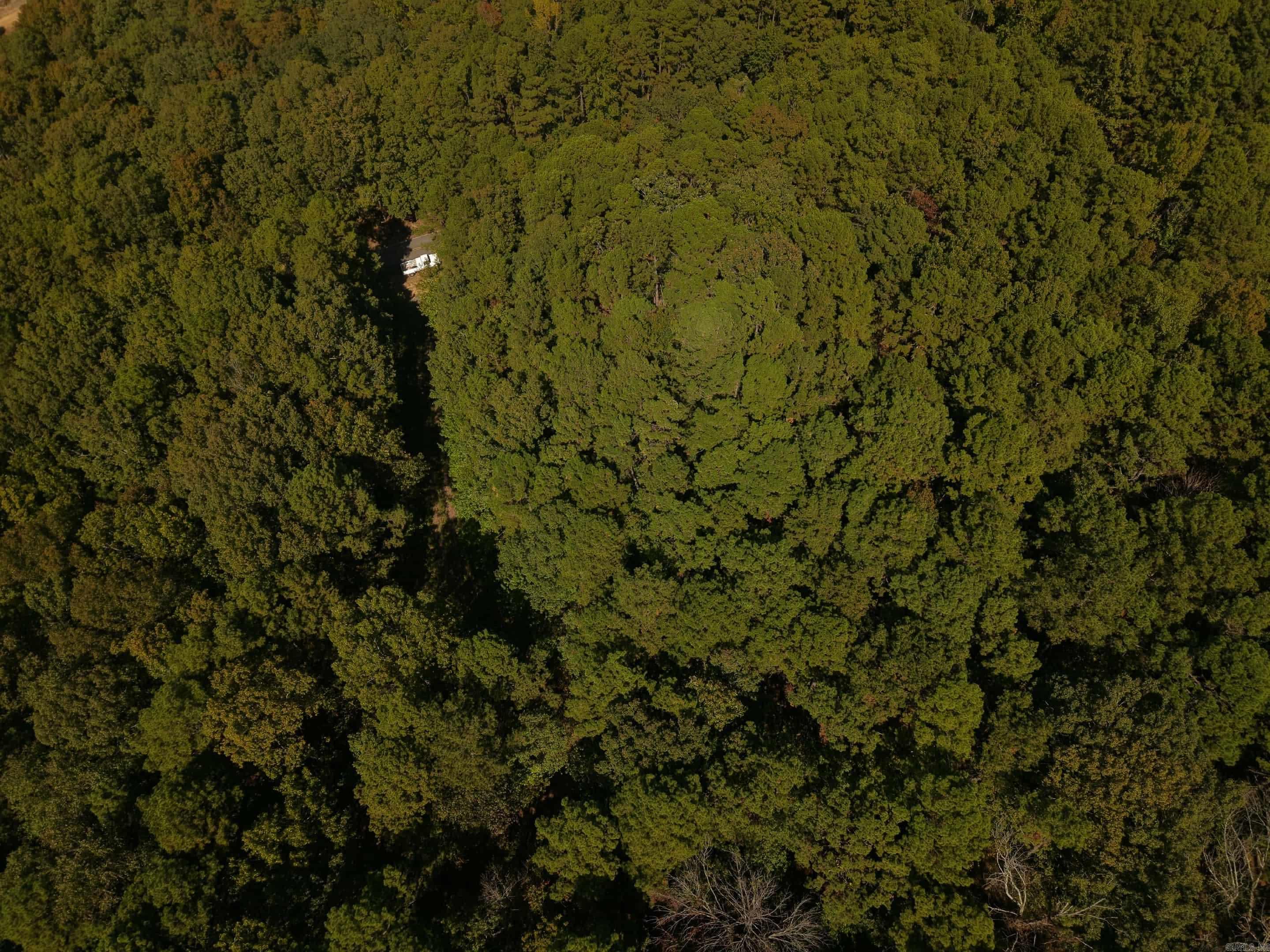  Rock Hill Ct  Fairfield Bay, AR