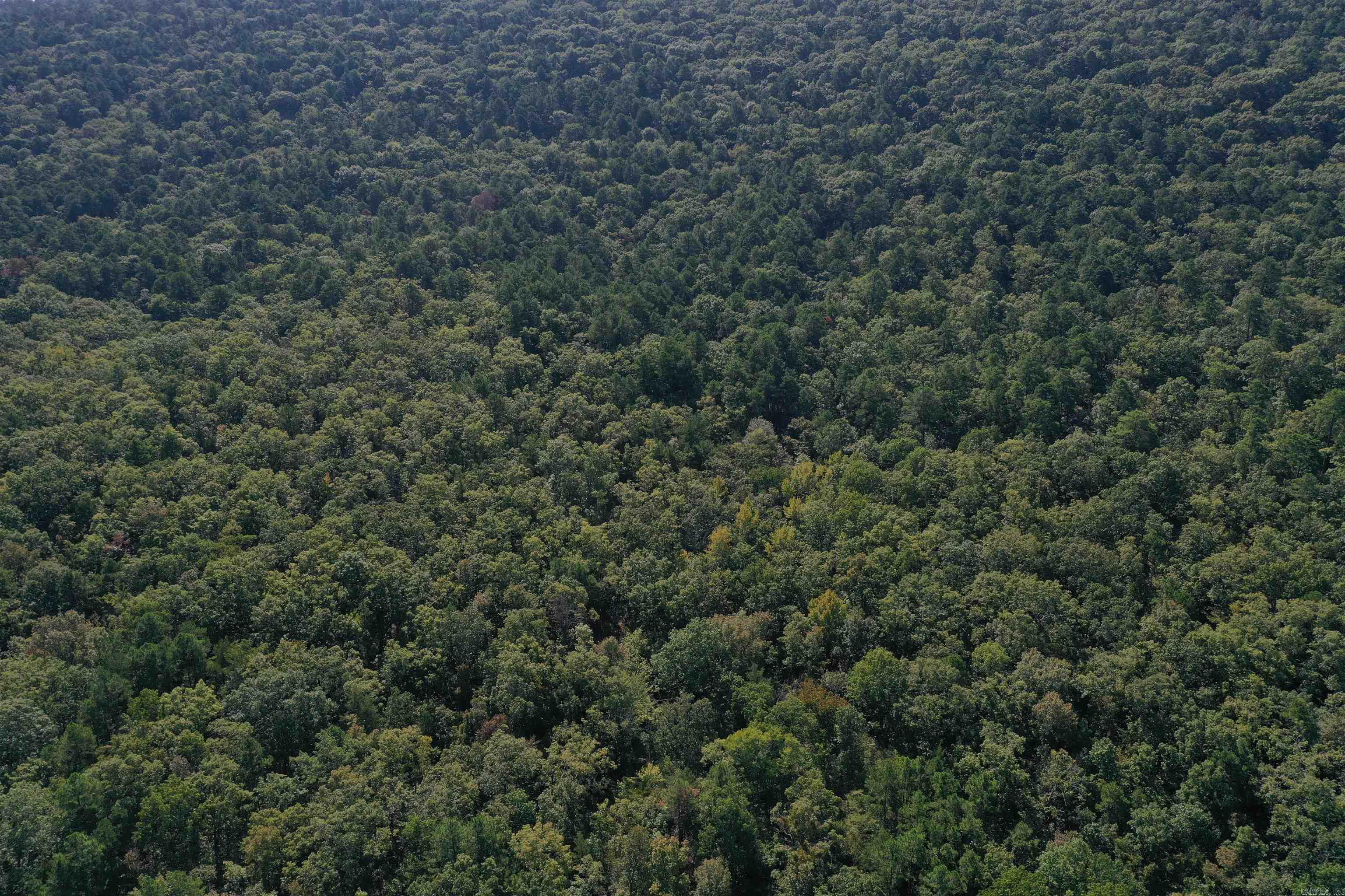 0000 FS RD 795  Bluffton, AR