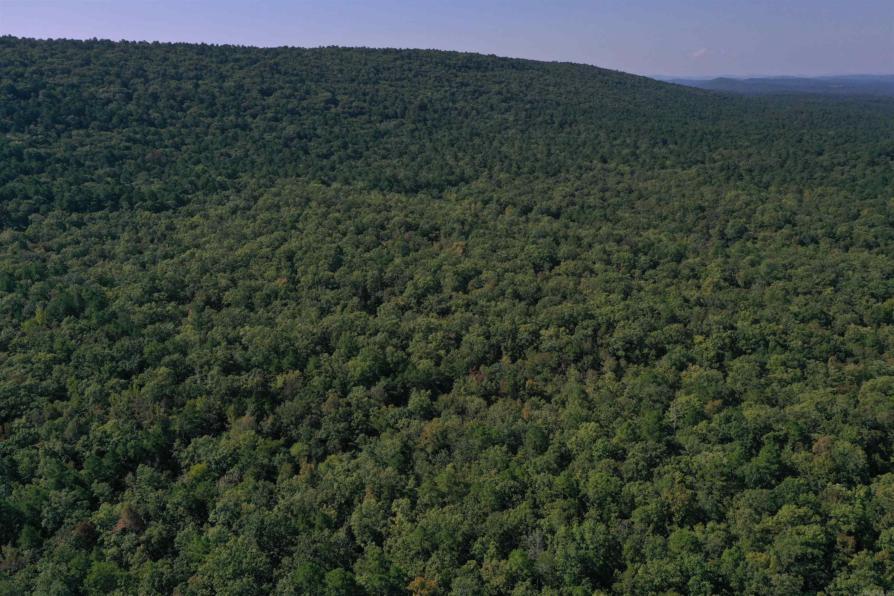 0000 FS RD 795  Bluffton, AR