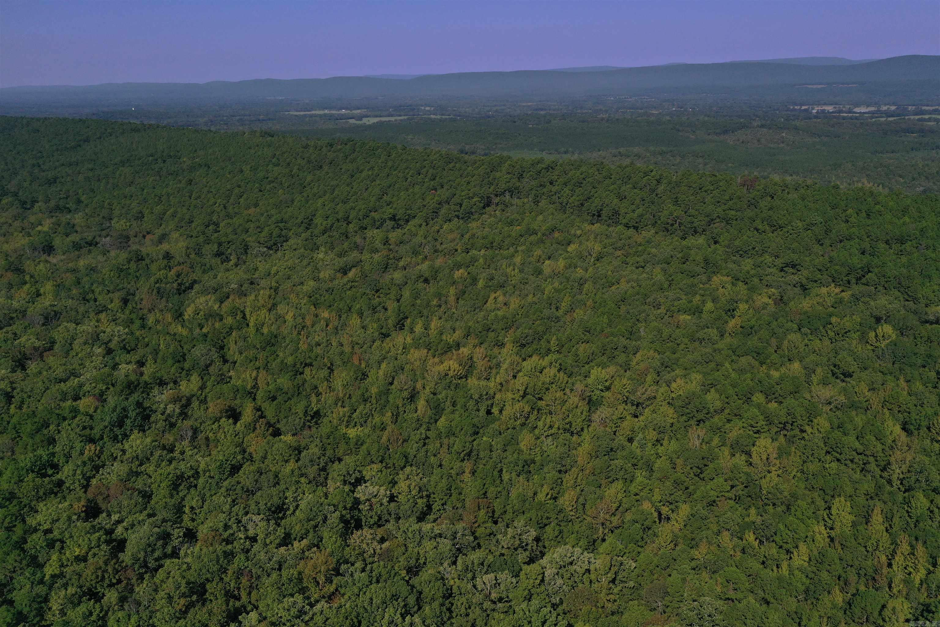 0000 FS RD 795  Bluffton, AR