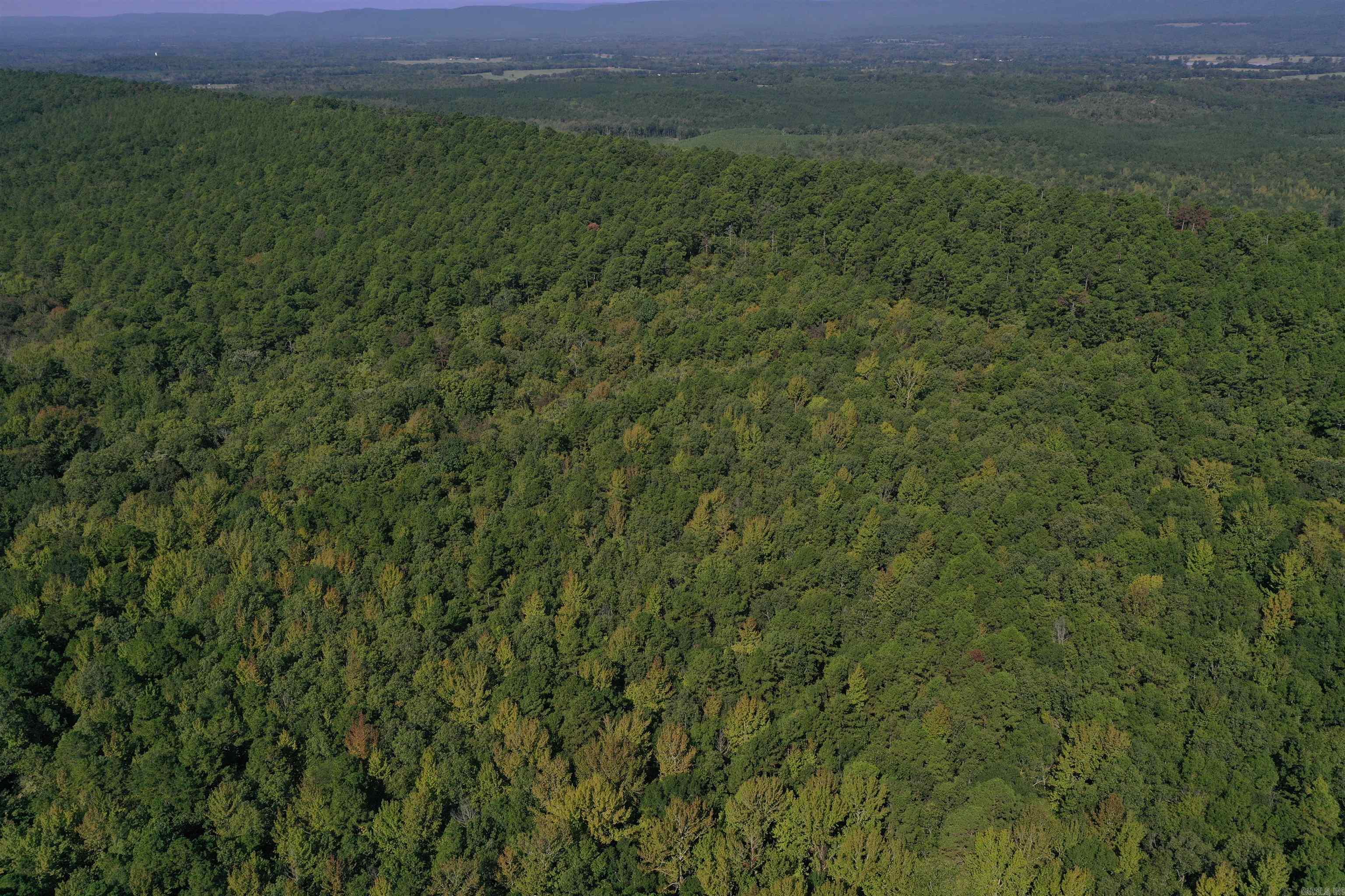 0000 FS RD 795  Bluffton, AR