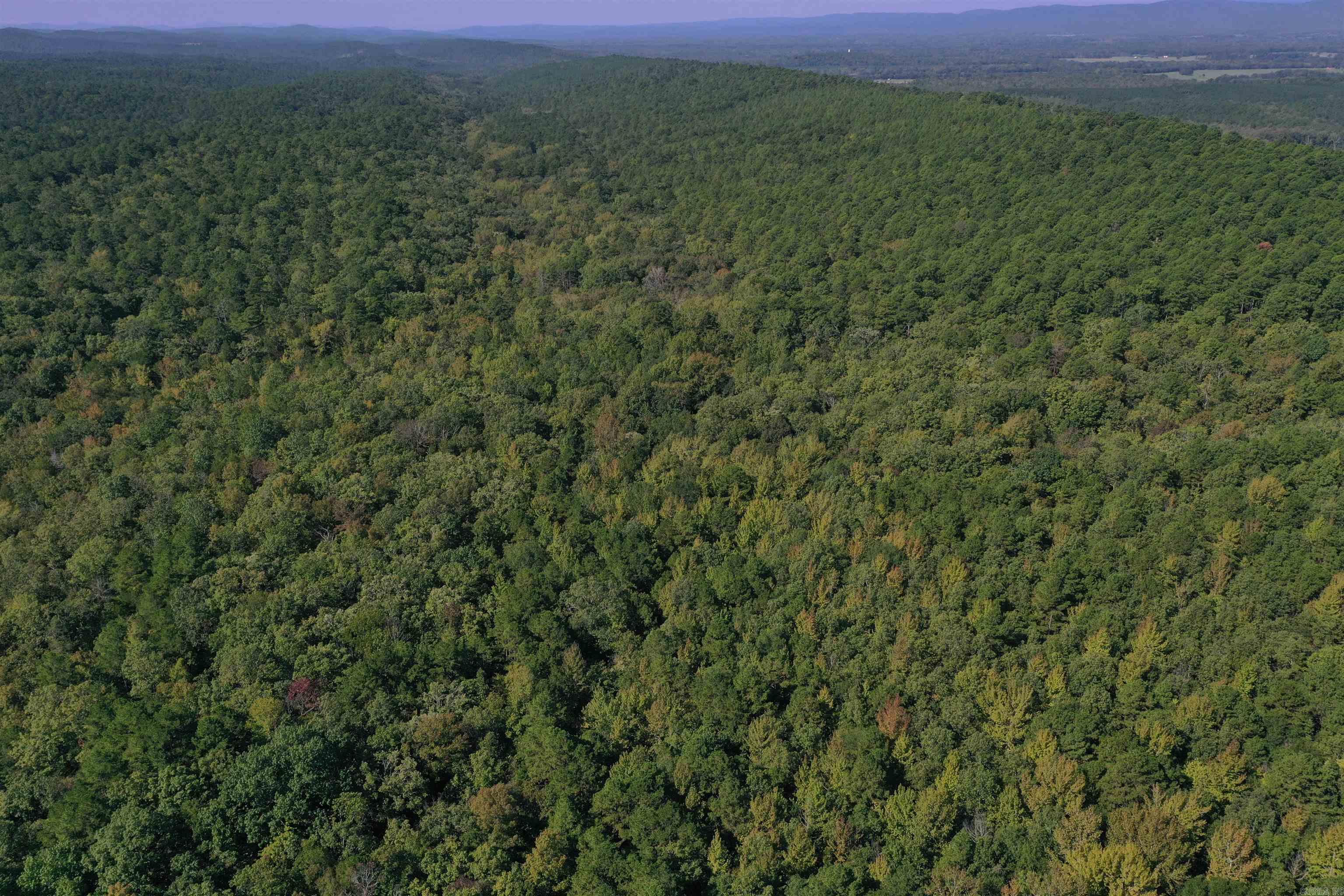 0000 FS RD 795  Bluffton, AR