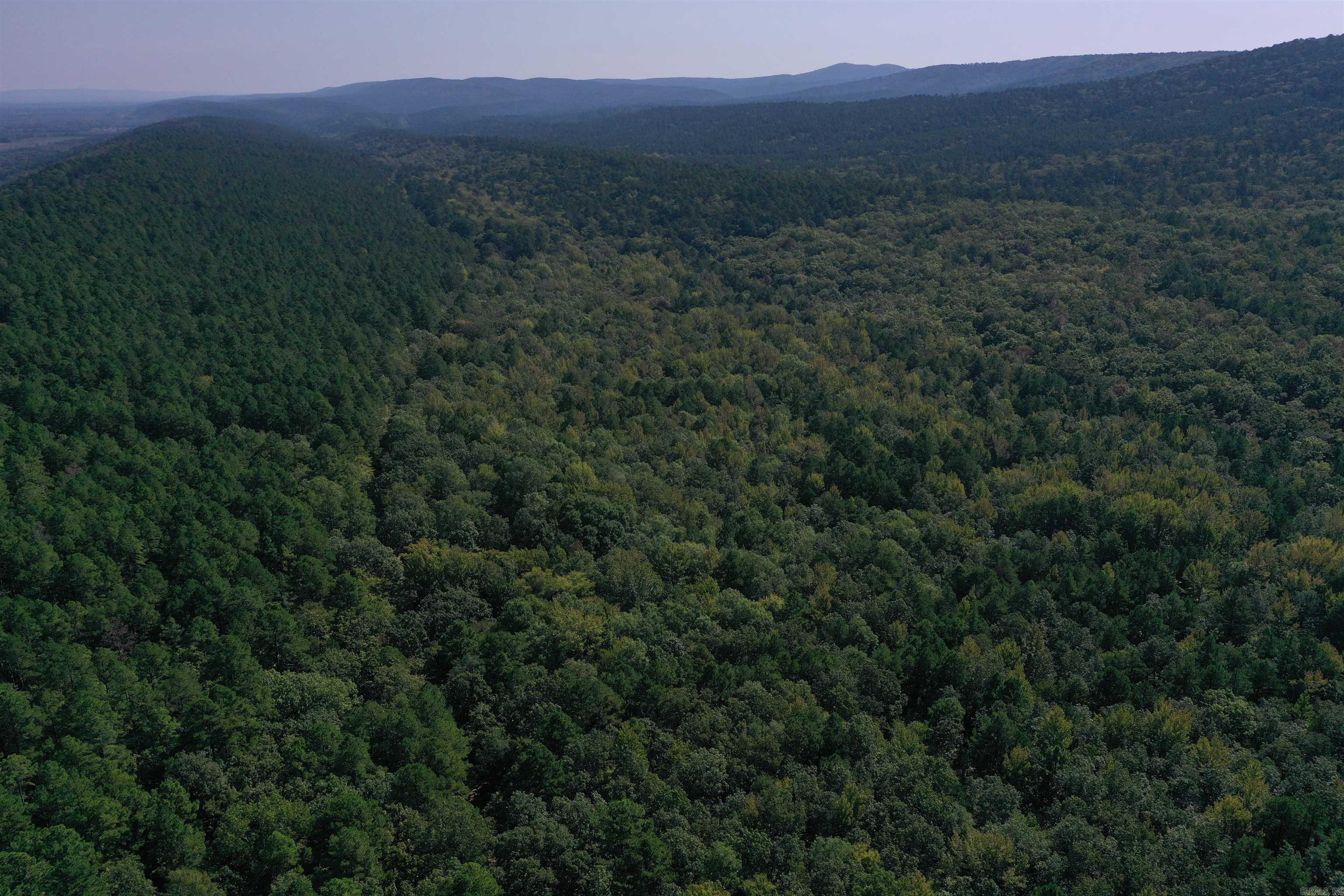 0000 FS RD 795  Bluffton, AR