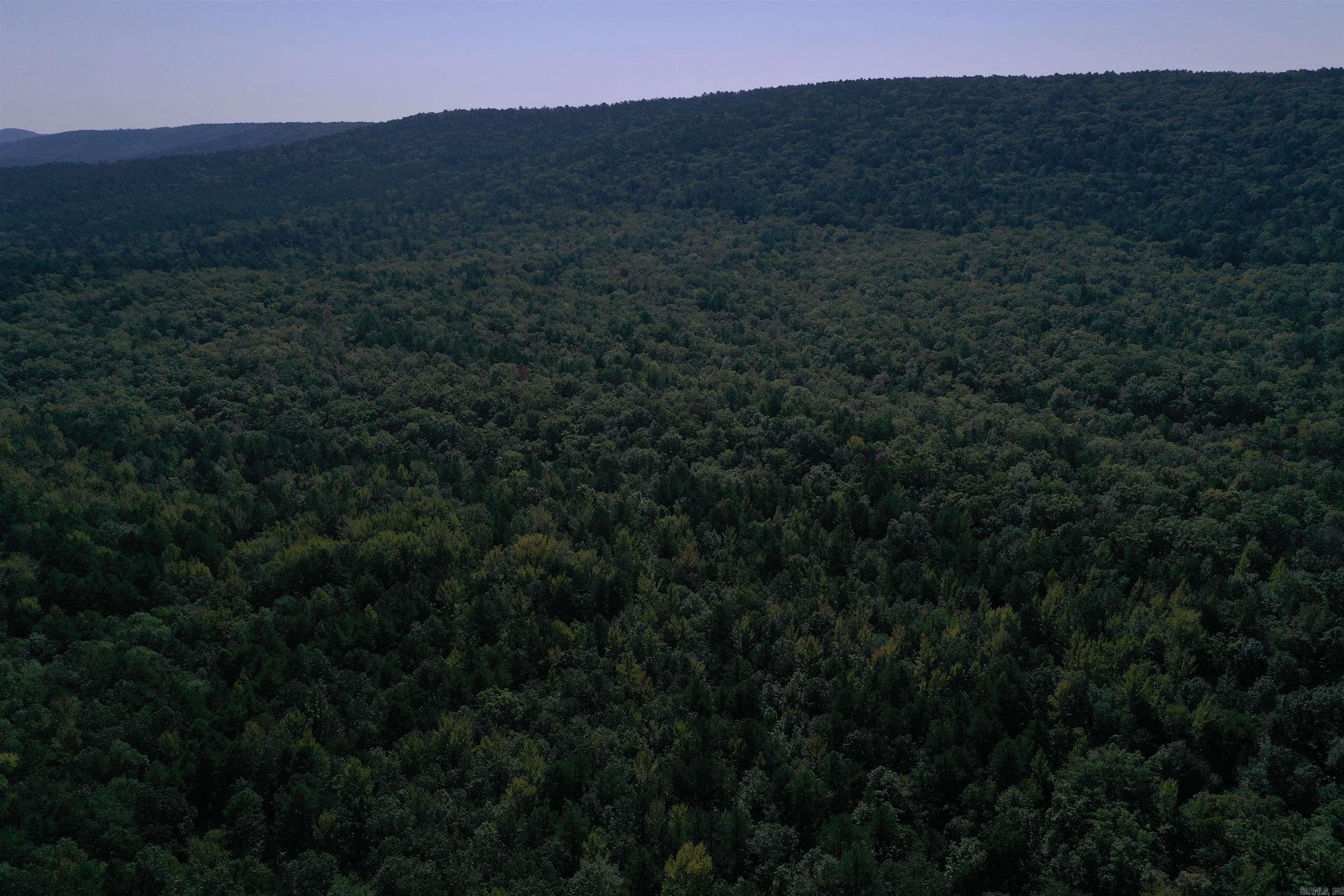 0000 FS RD 795  Bluffton, AR