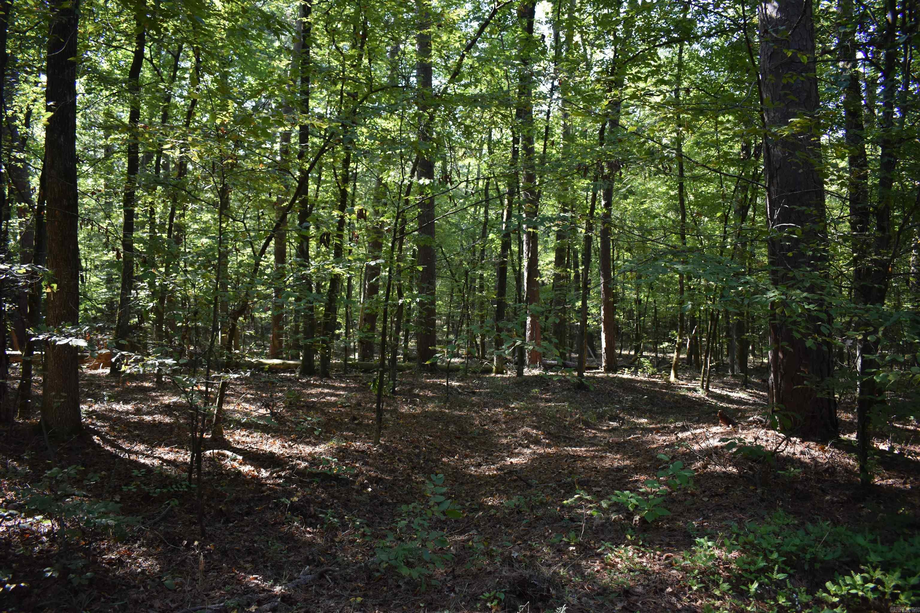 0000 FS RD 795  Bluffton, AR