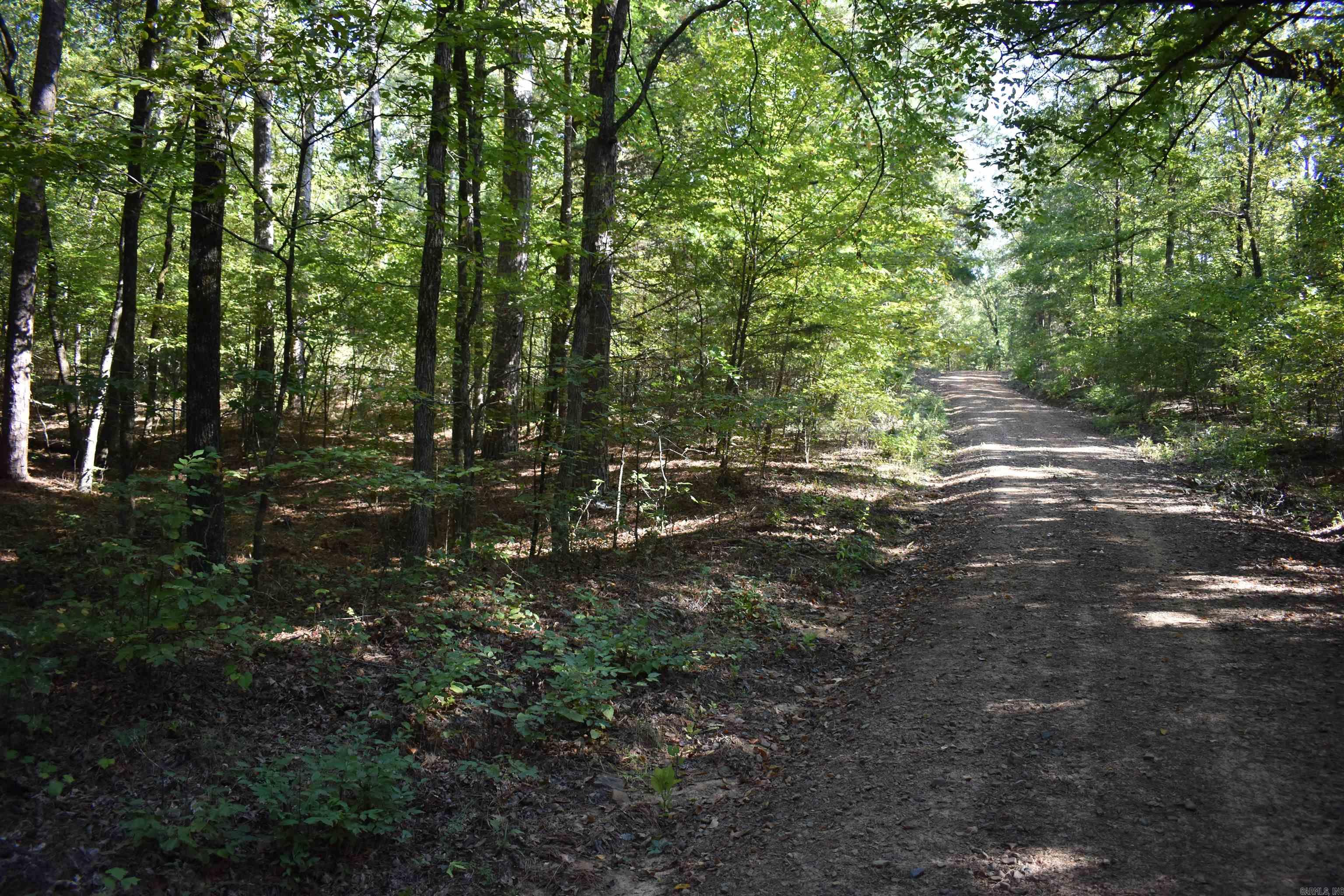 0000 FS RD 795  Bluffton, AR