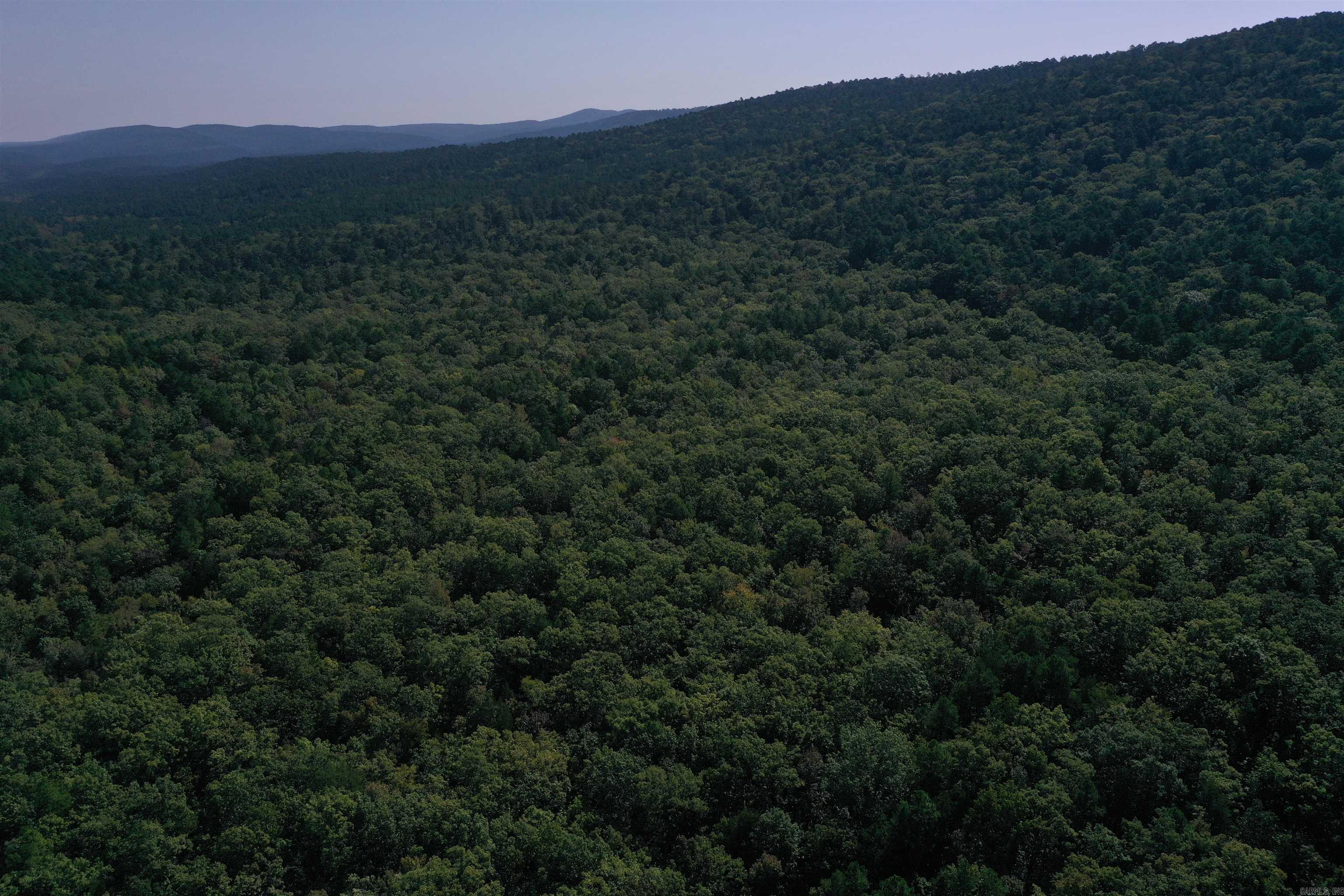 0000 FS RD 795  Bluffton, AR