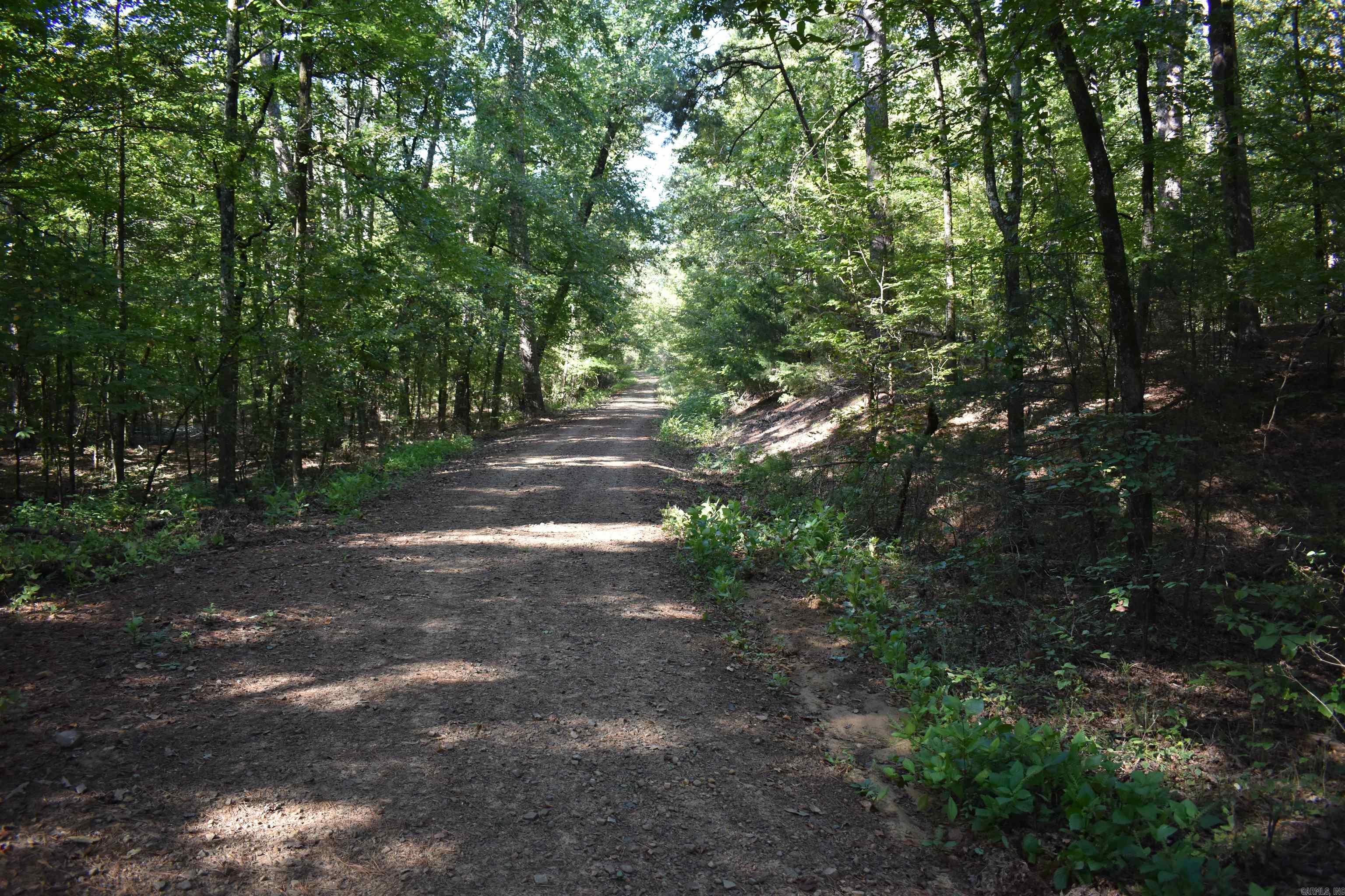 0000 FS RD 795  Bluffton, AR