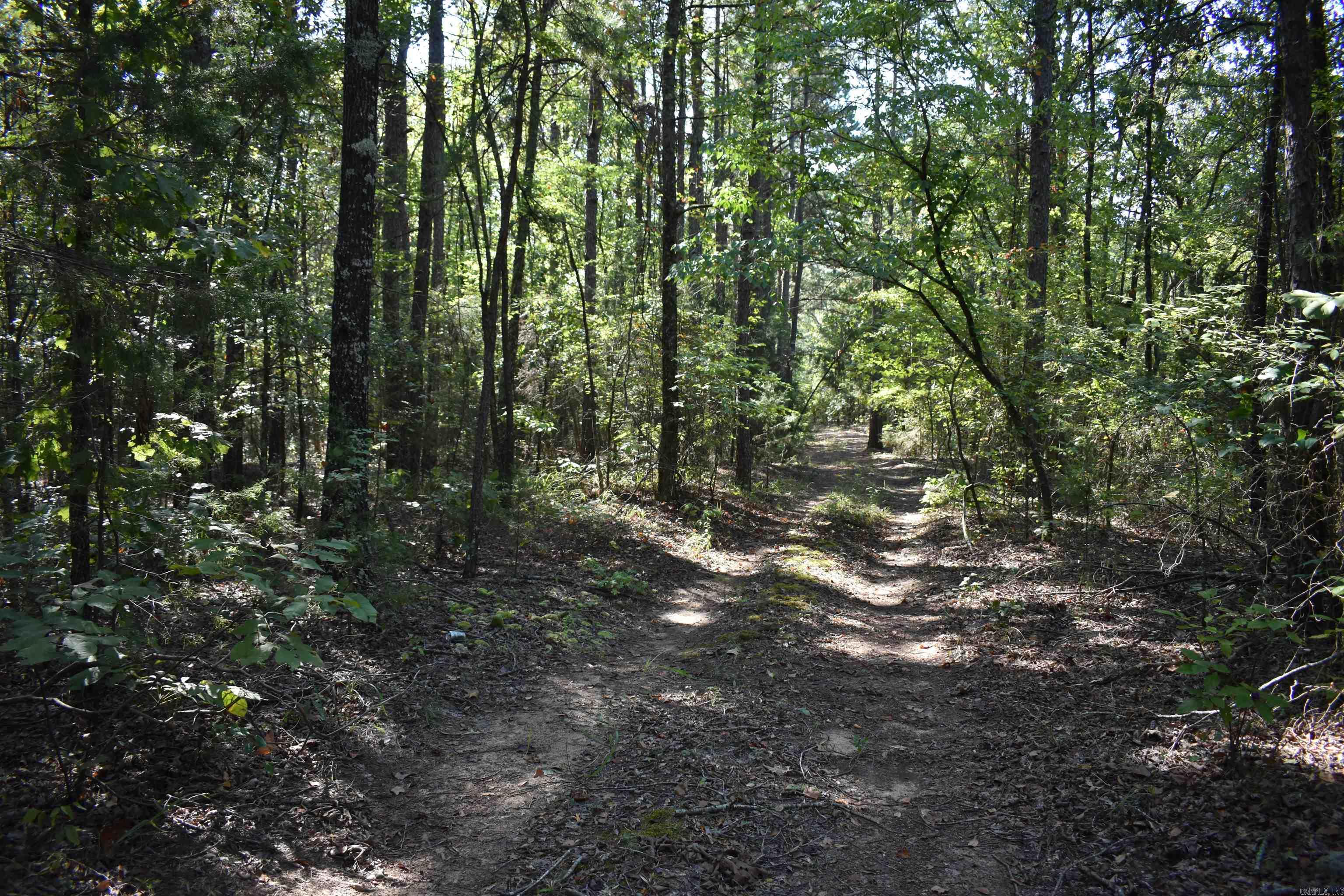 0000 FS RD 795  Bluffton, AR