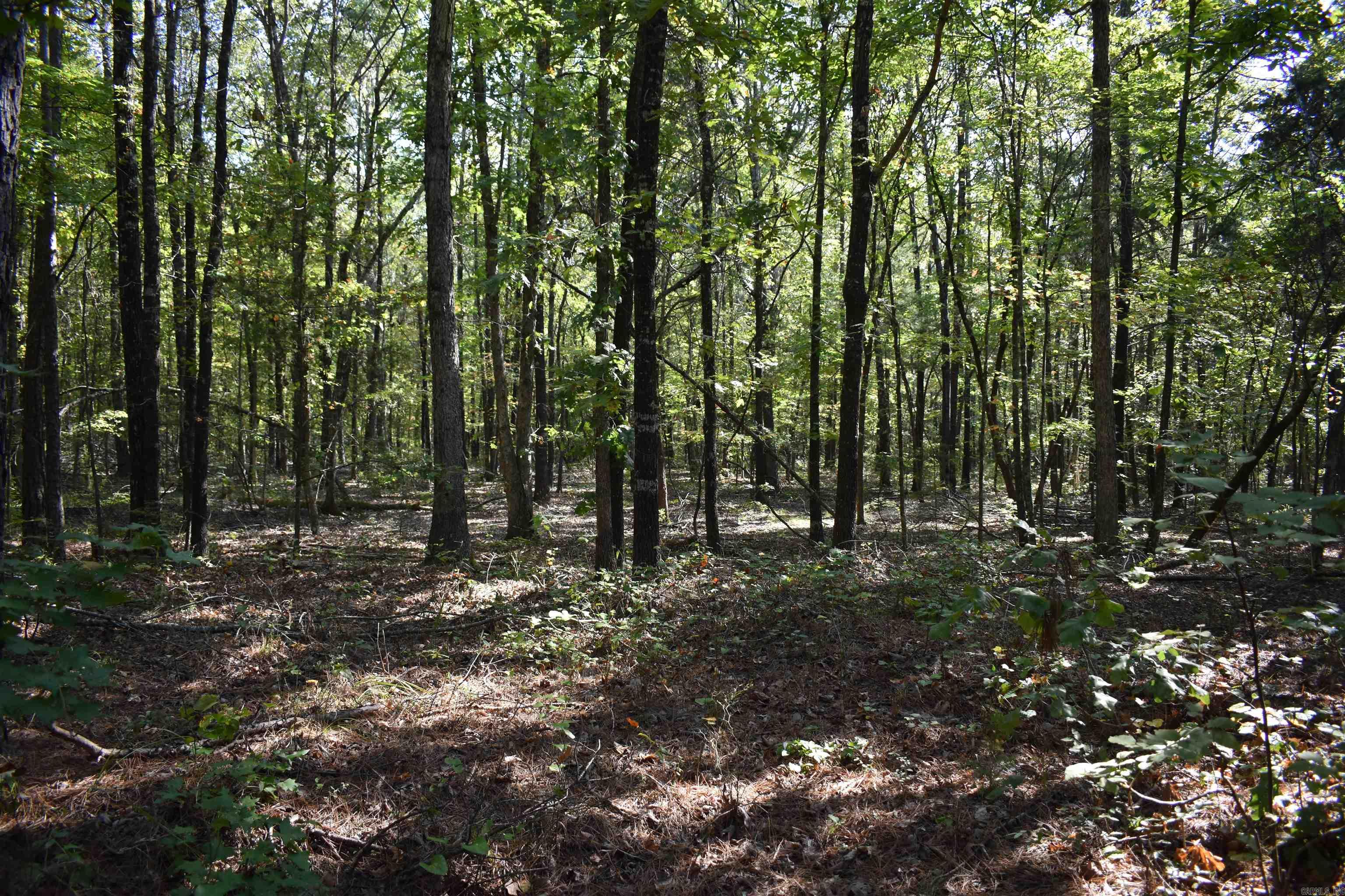 0000 FS RD 795  Bluffton, AR