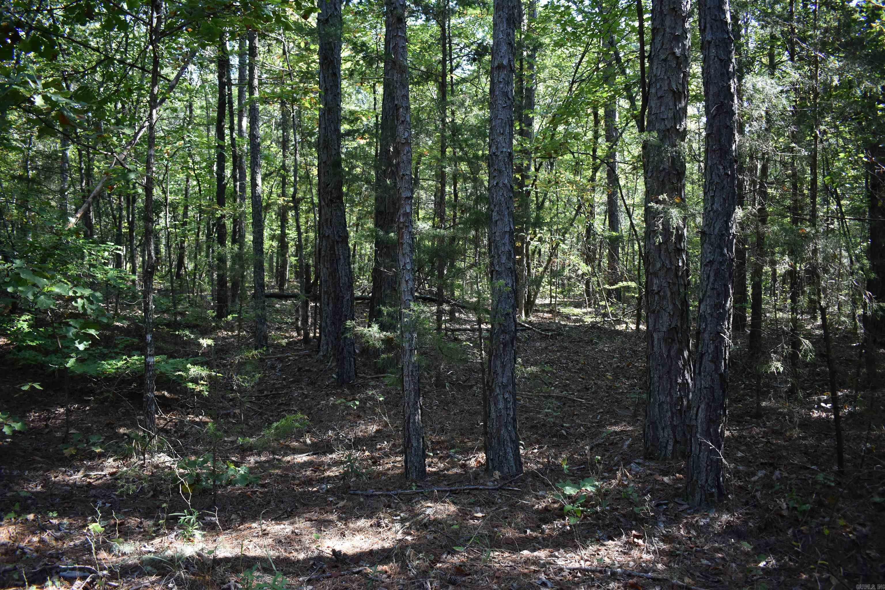 0000 FS RD 795  Bluffton, AR