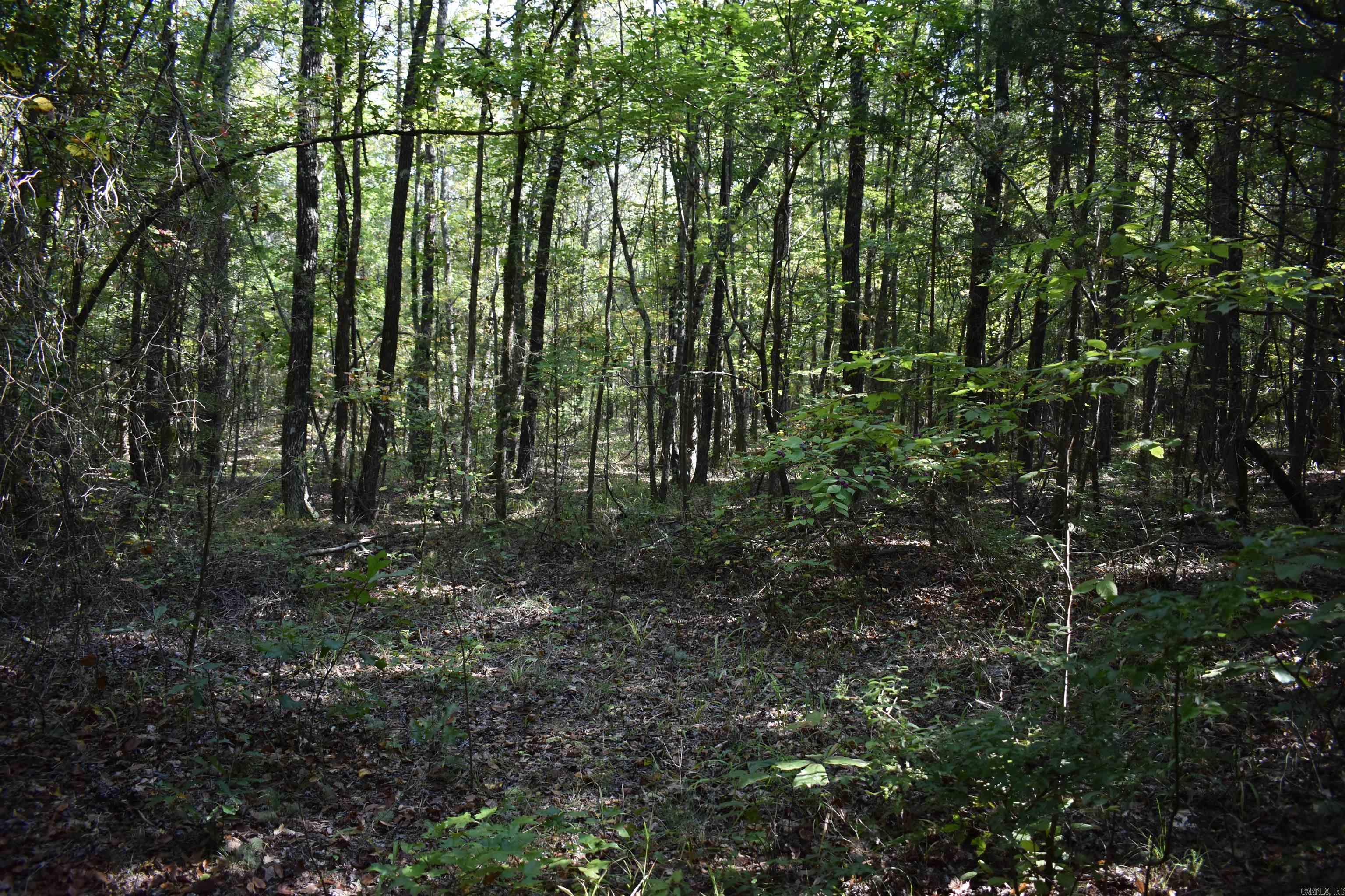 0000 FS RD 795  Bluffton, AR