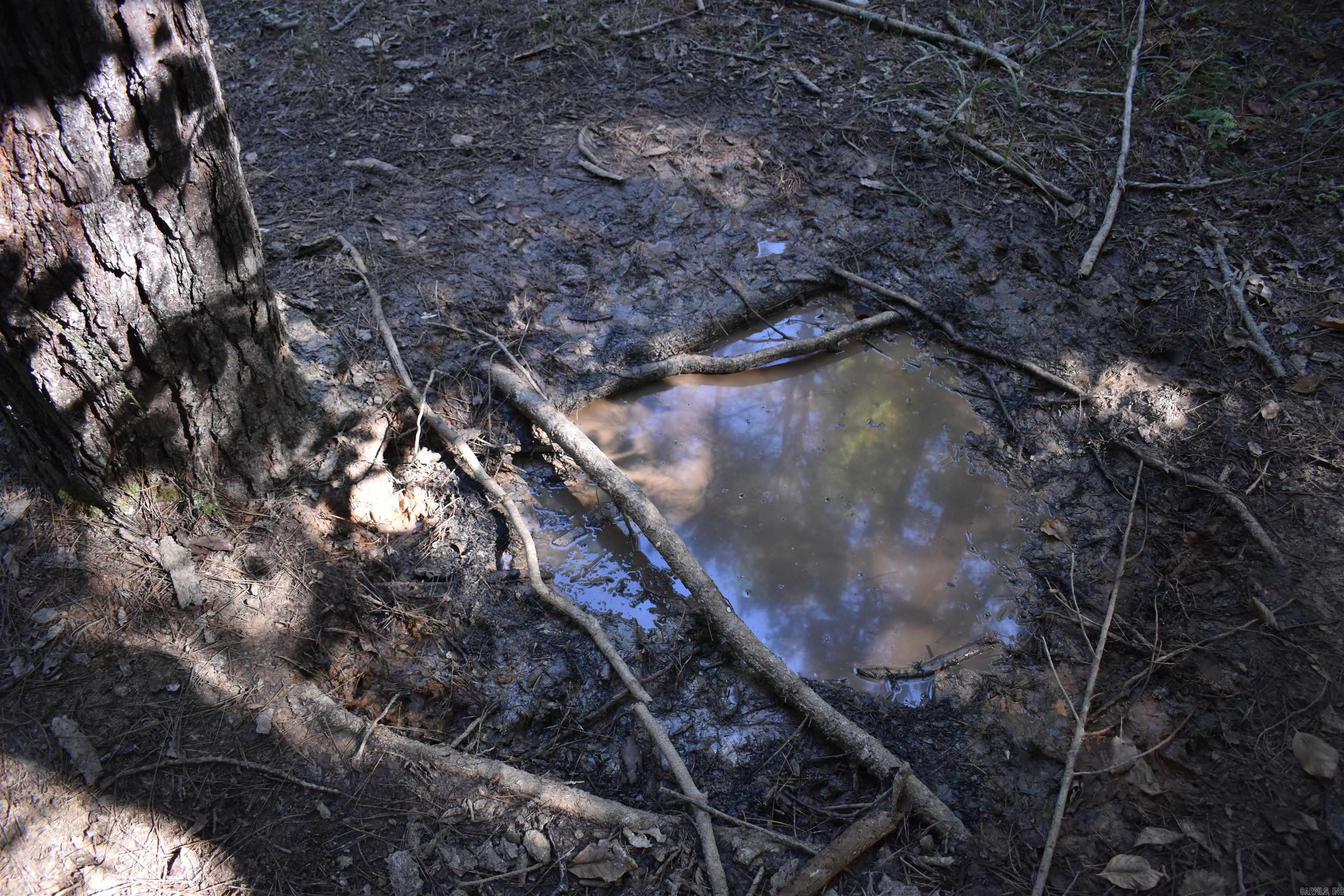 0000 FS RD 795  Bluffton, AR