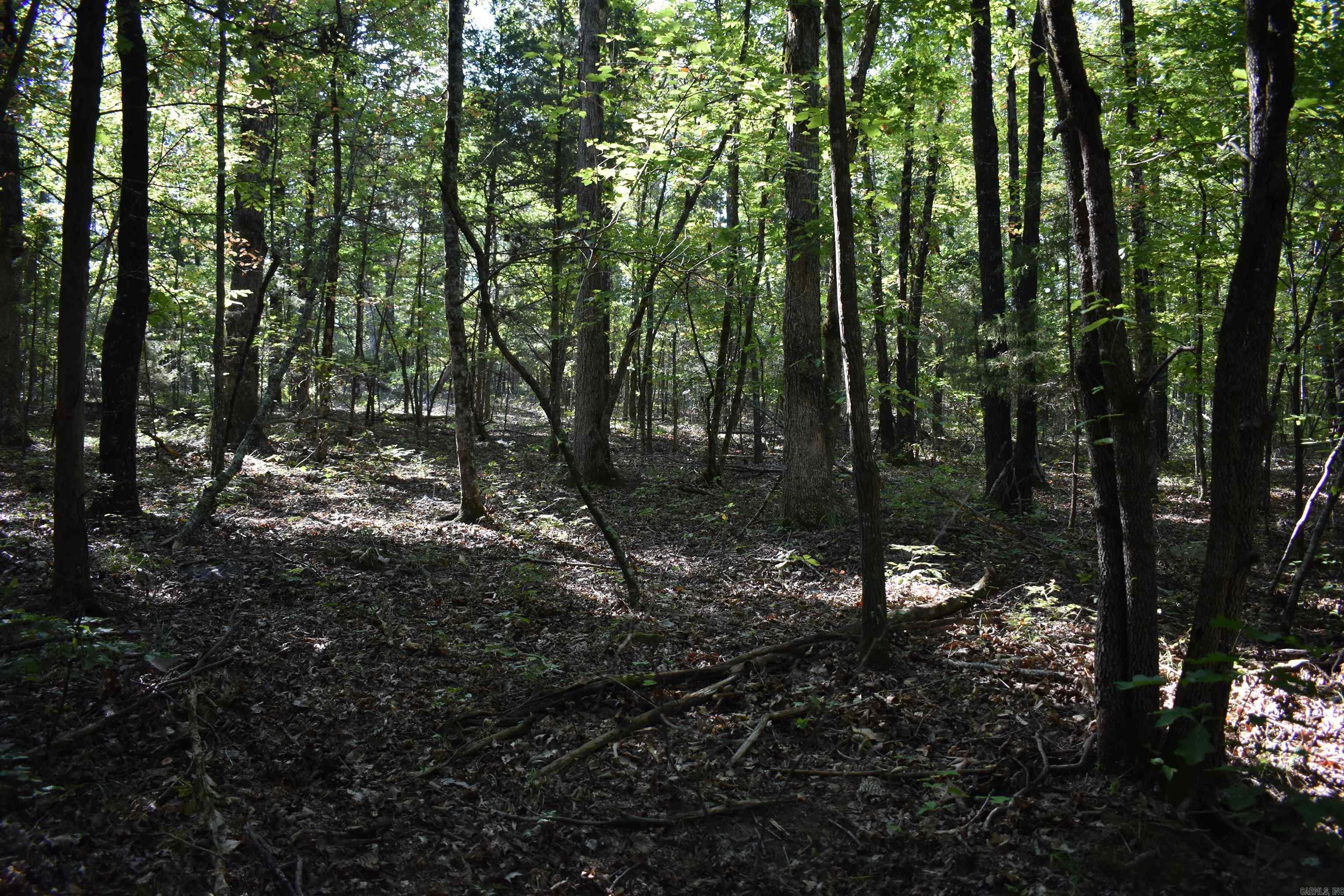 0000 FS RD 795  Bluffton, AR