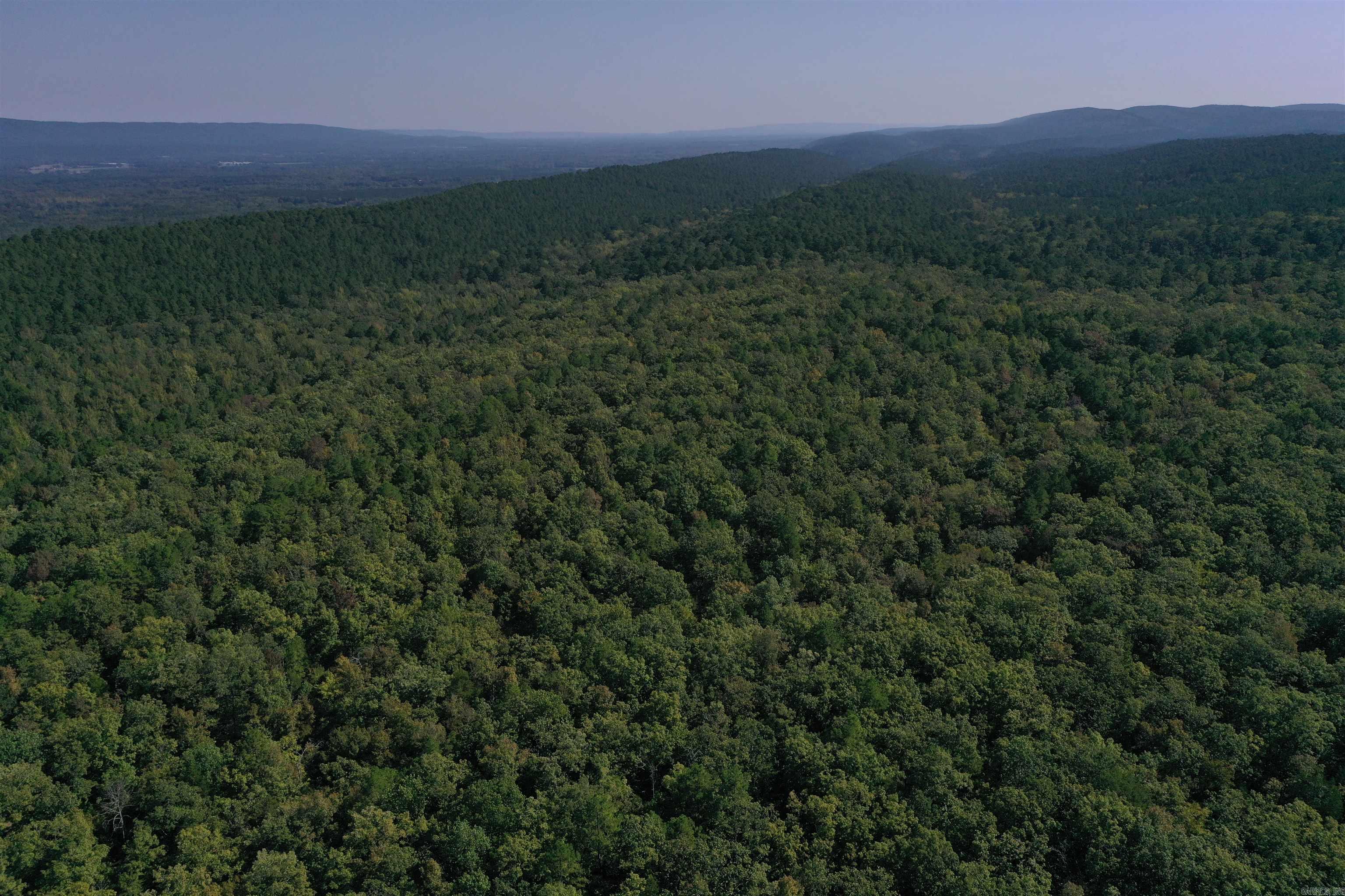 0000 FS RD 795  Bluffton, AR