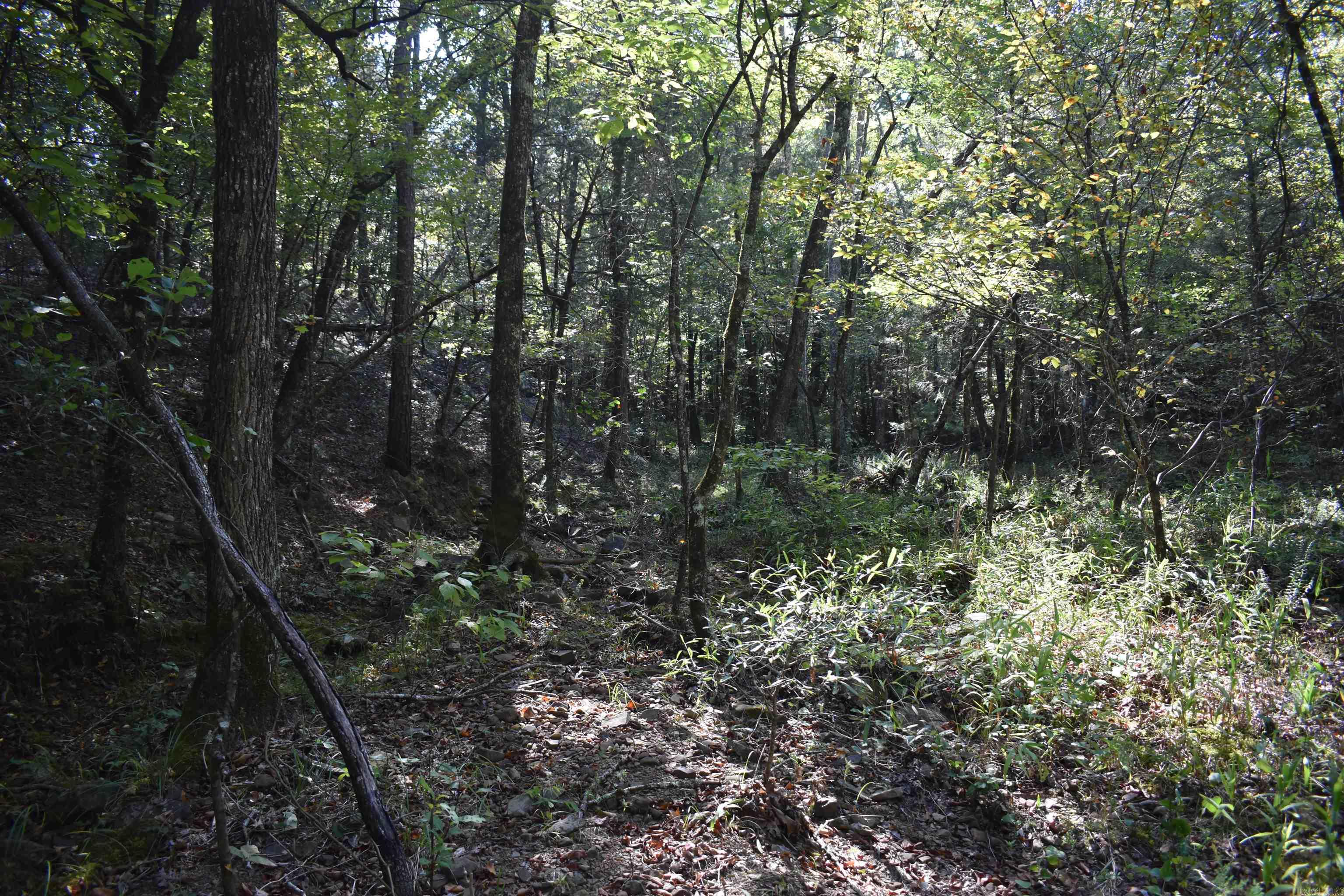 0000 FS RD 795  Bluffton, AR