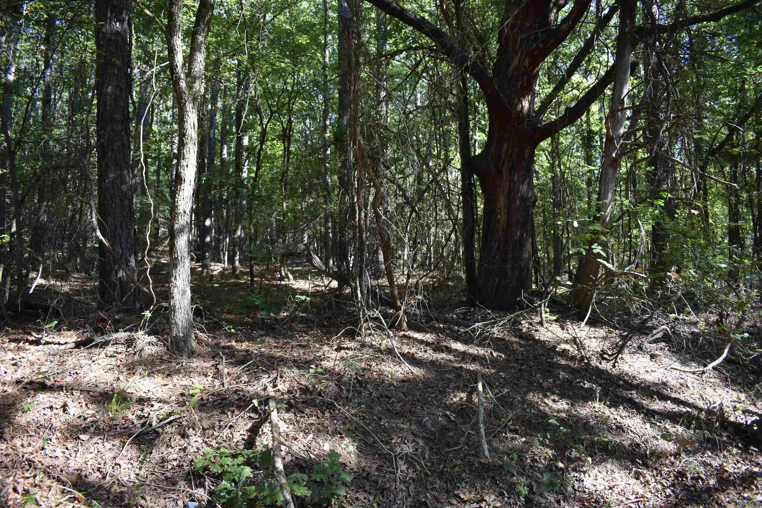 0000 FS RD 795  Bluffton, AR