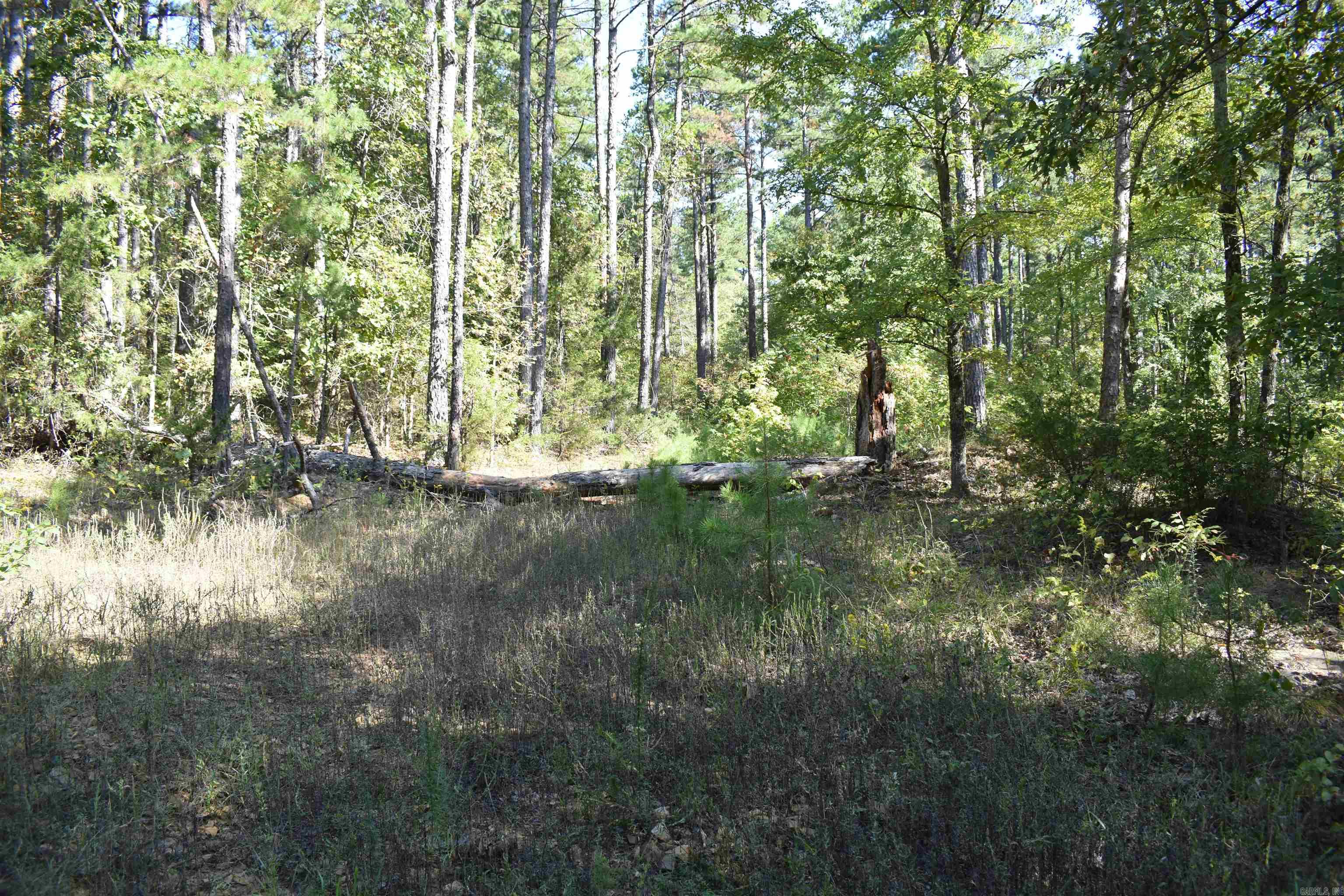 0000 FS RD 795  Bluffton, AR