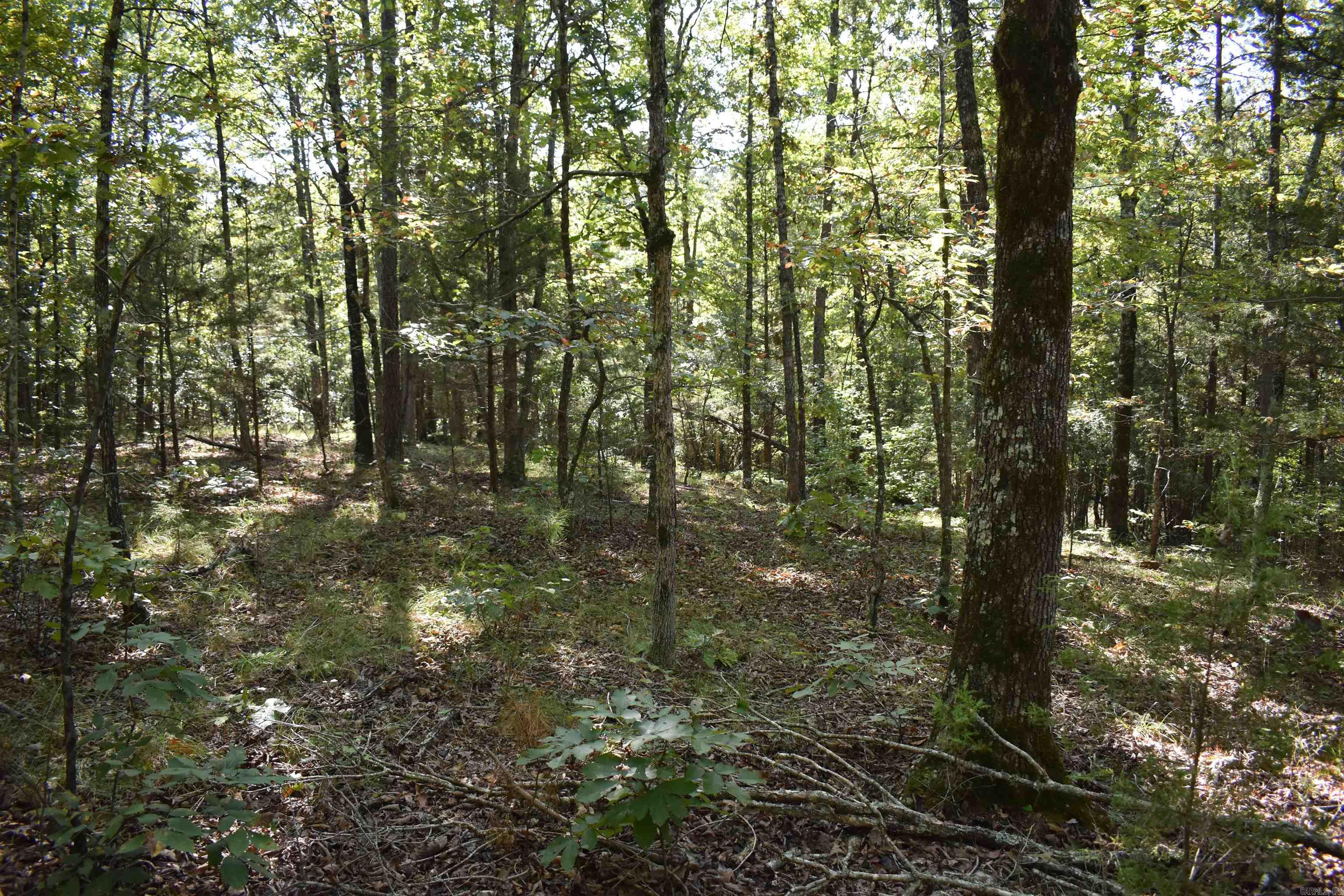 0000 FS RD 795  Bluffton, AR