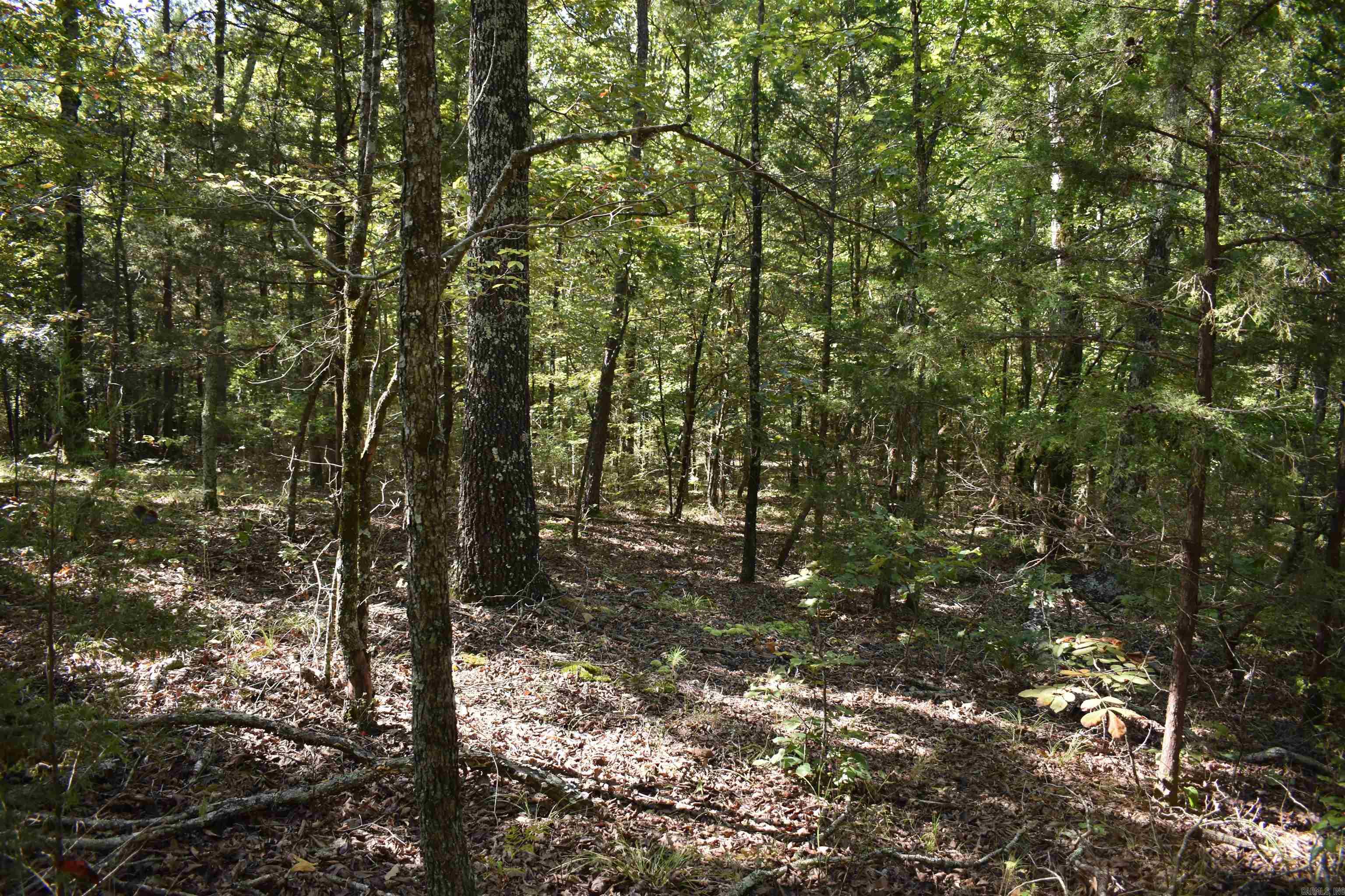 0000 FS RD 795  Bluffton, AR