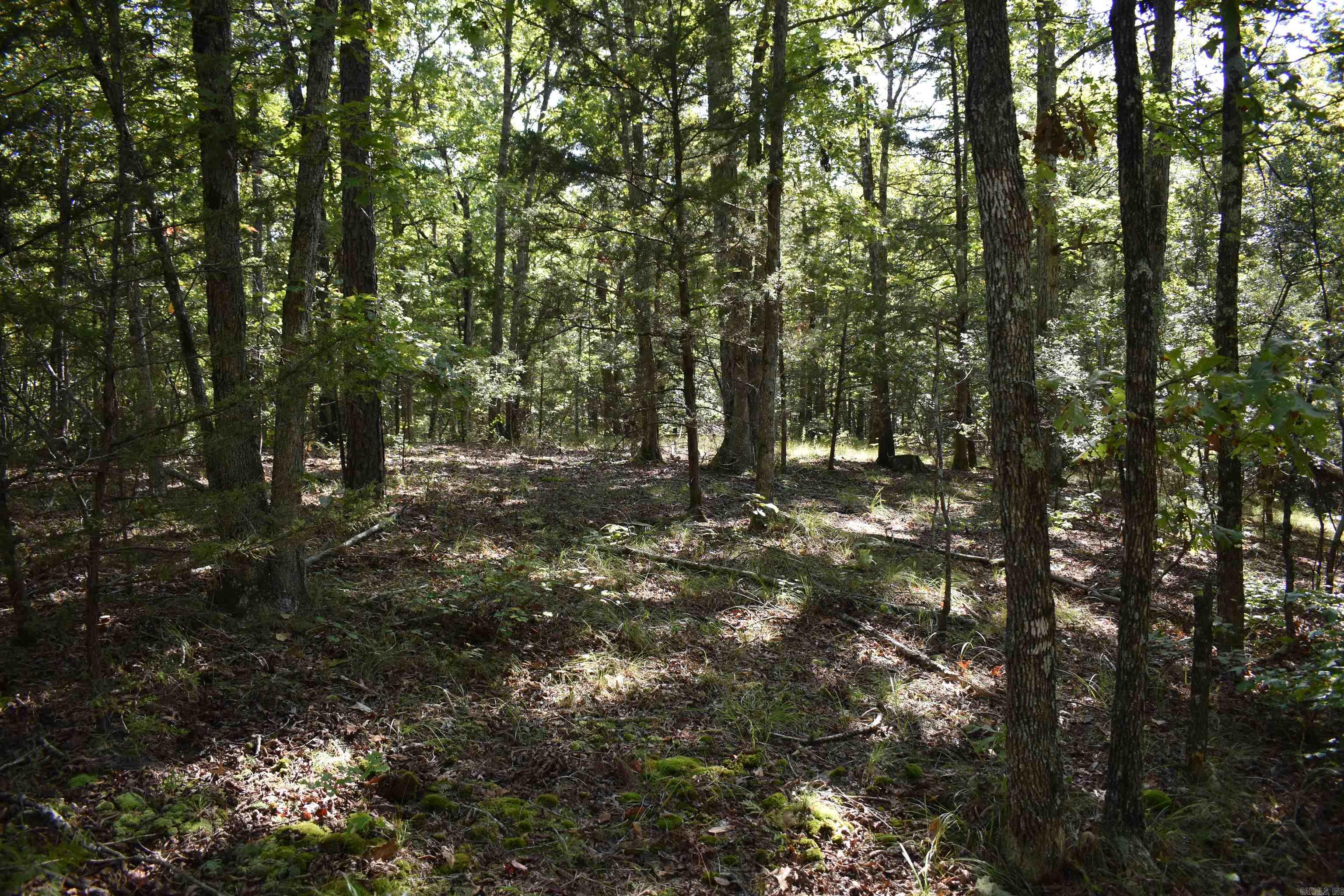 0000 FS RD 795  Bluffton, AR