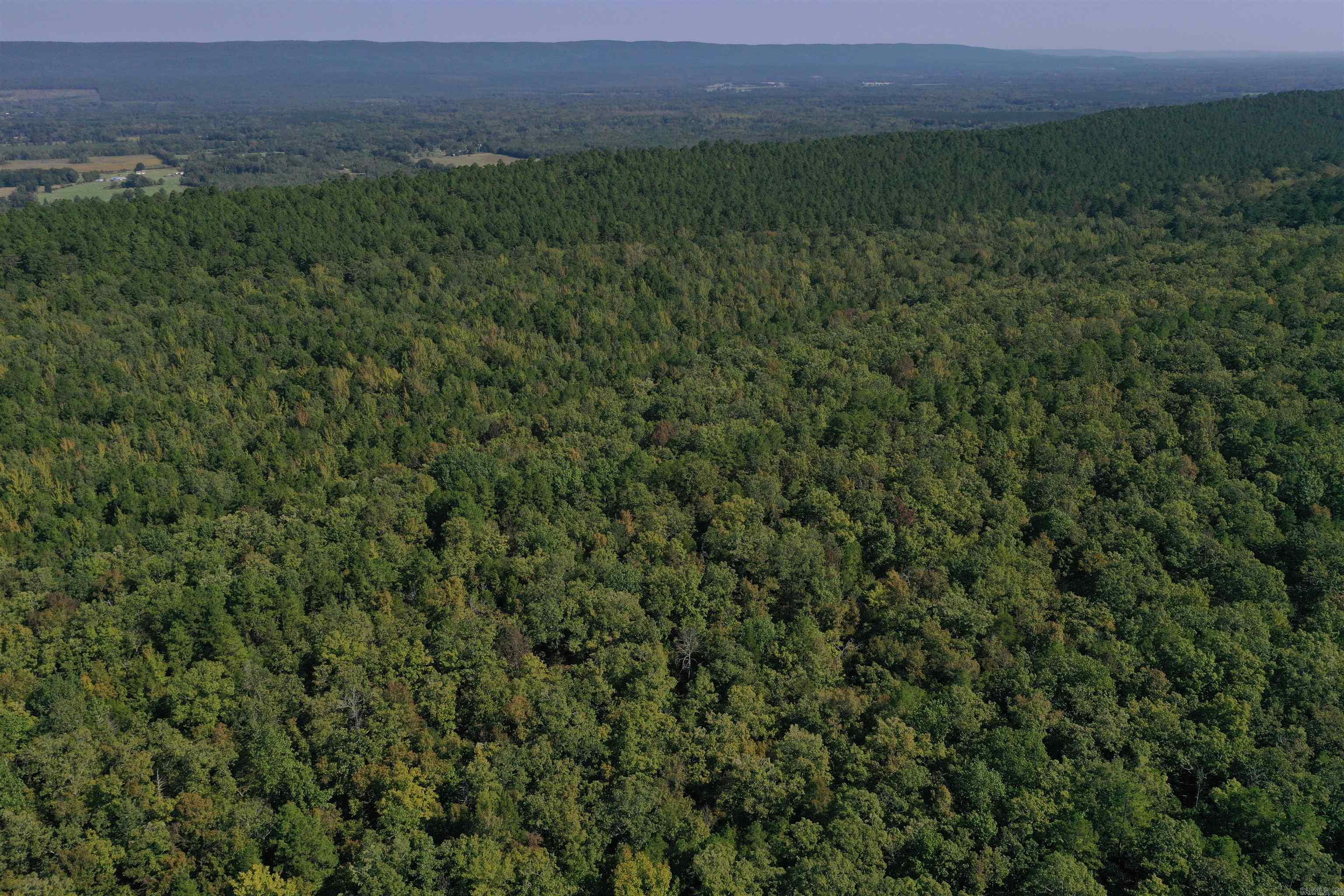 0000 FS RD 795  Bluffton, AR