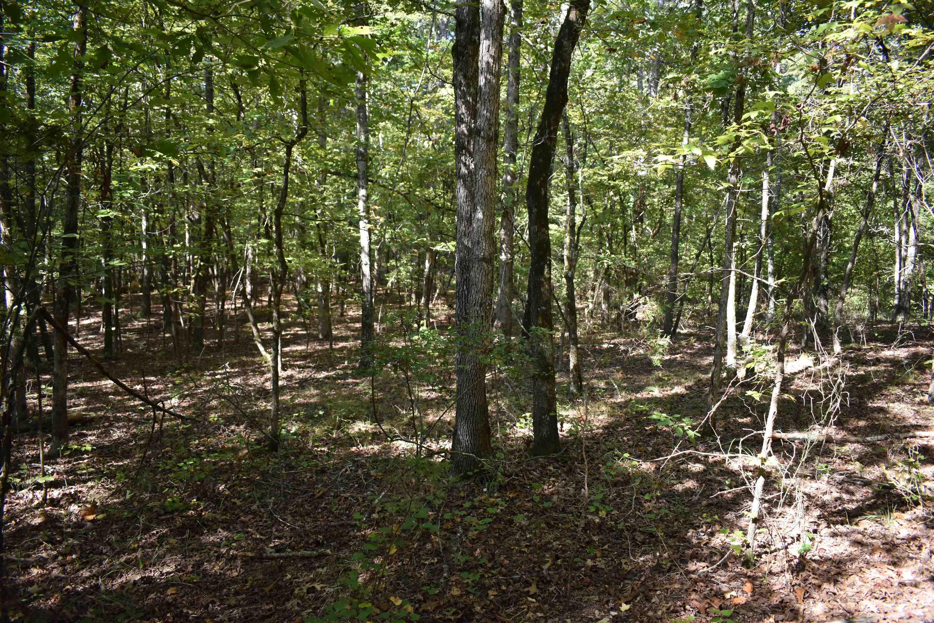 0000 FS RD 795  Bluffton, AR