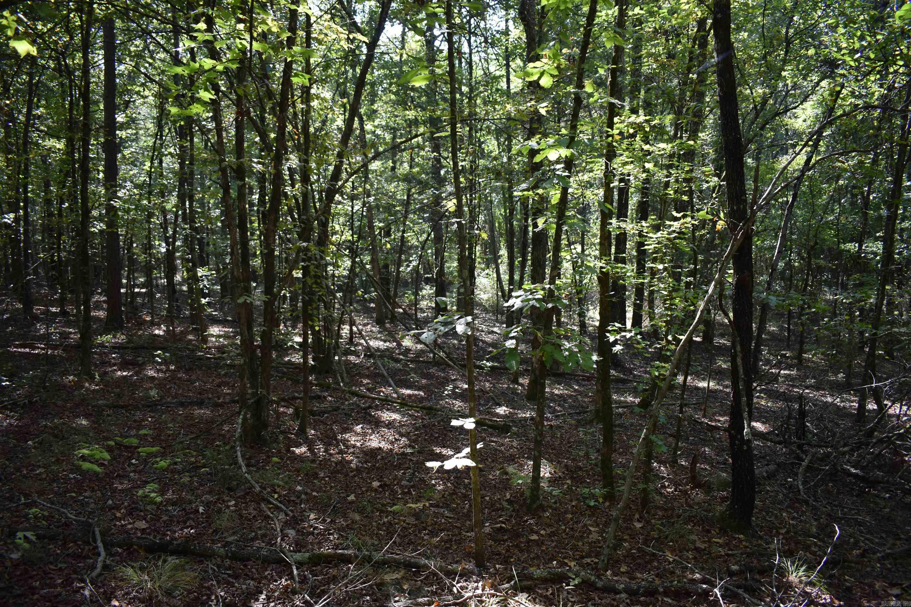 0000 FS RD 795  Bluffton, AR