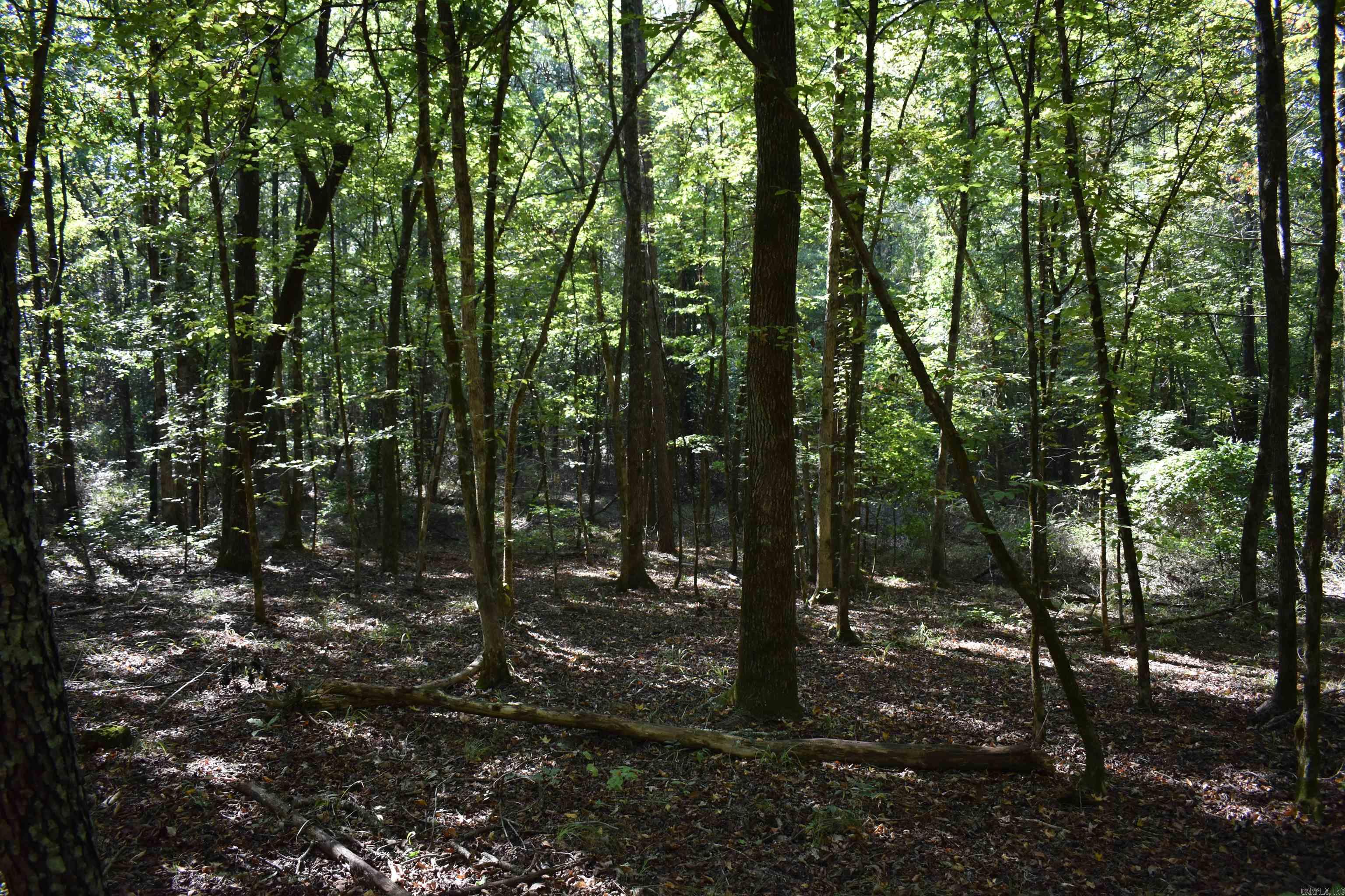 0000 FS RD 795  Bluffton, AR